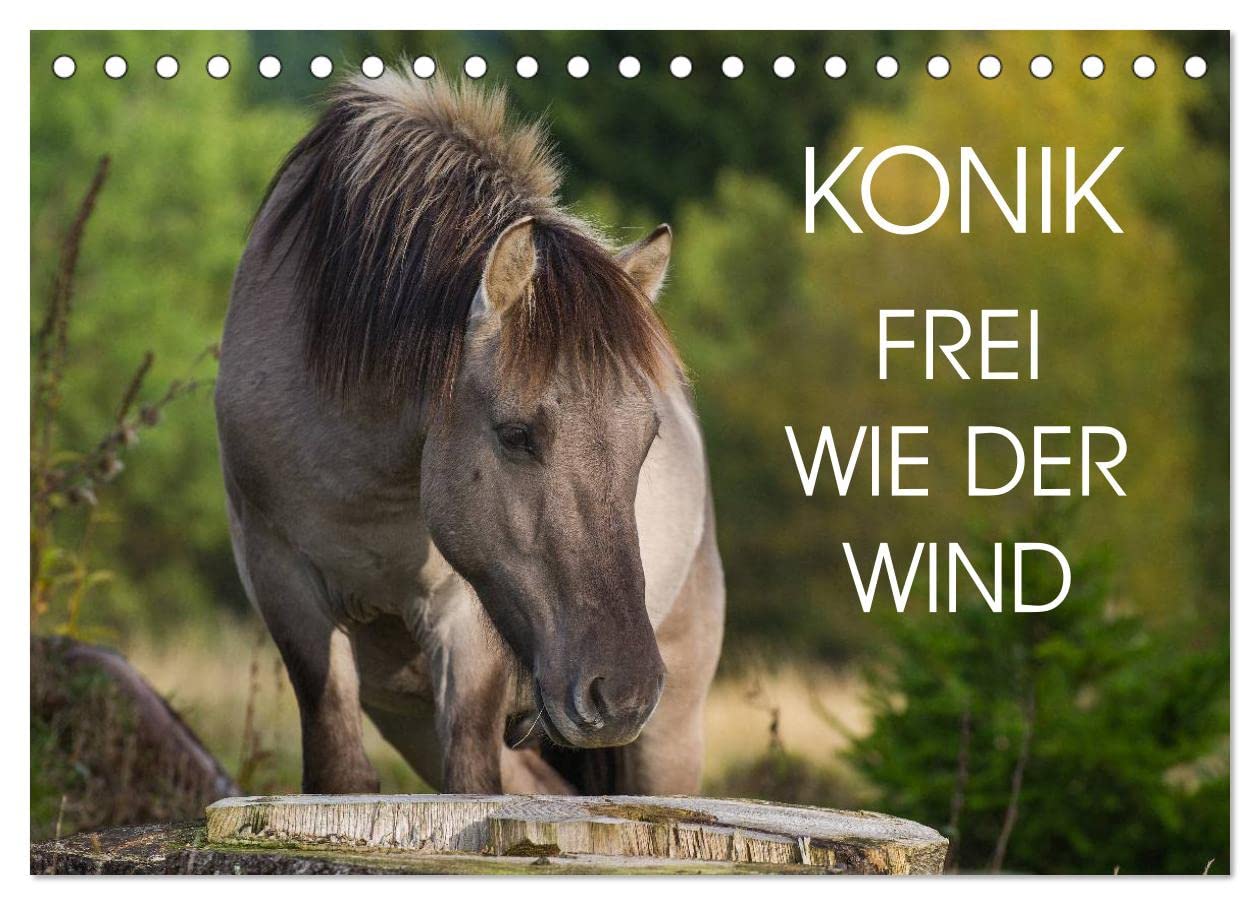 Konik - Frei geboren (Tischkalender 2025 DIN A5 quer), CALVENDO Monatskalender: Der Konik – dem ausgestorbenen Wildpferd Europas sehr ähnlich – auf 13 wundervollen Fotos (CALVENDO Tiere) Natural Sciences