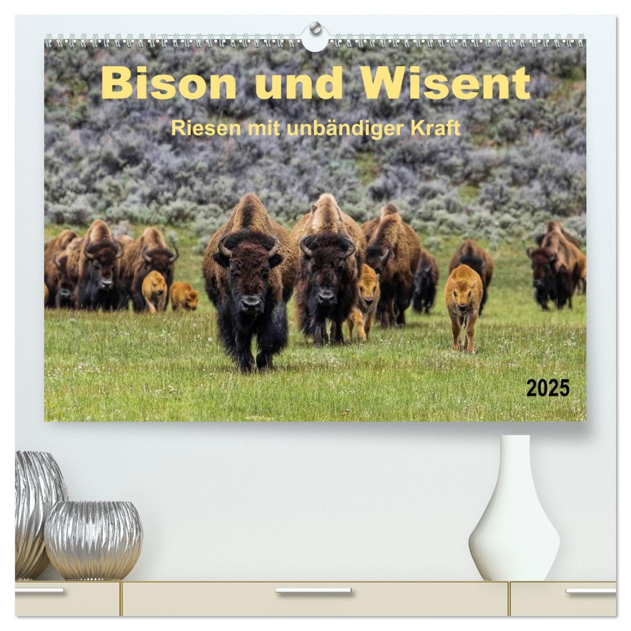 Bison und Wisent - Riesen mit unbändiger Kraft (hochwertiger Premium Wandkalender 2025 DIN A2 quer), Kunstdruck in Hochglanz: Bison und Wisent, ... schön und enorm kraftvoll. (CALVENDO Tiere) Living & Furnishing
