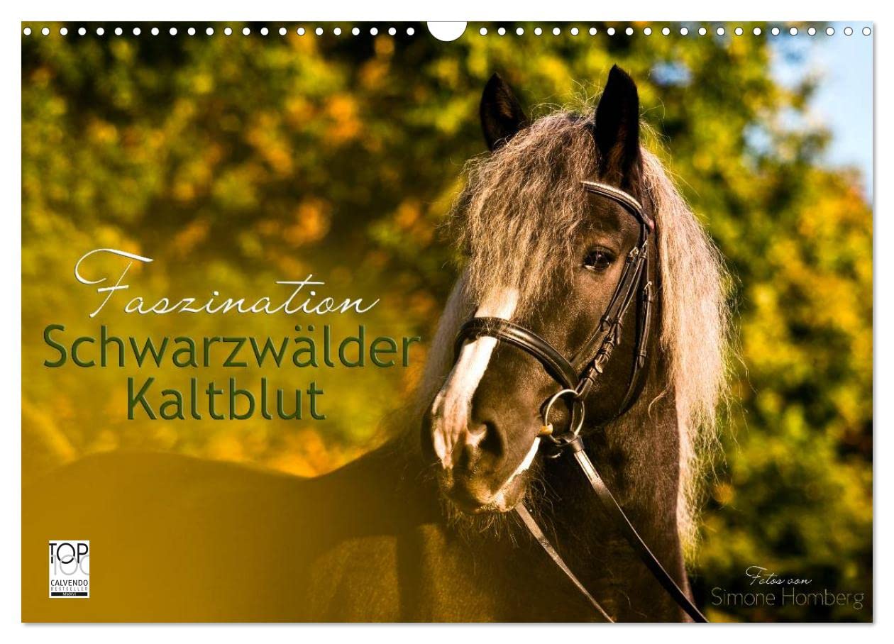 Faszination Schwarzwälder Kaltblut (Wandkalender 2025 DIN A3 quer), CALVENDO Monatskalender: Kraftvoll, elegant und verspielt begleitet Sie das ... Pferd durch das Jahr (CALVENDO Tiere) Natural Sciences