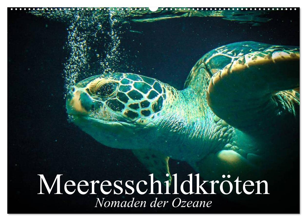 Meeresschildkröten. Nomaden der Ozeane (Wandkalender 2025 DIN A2 quer), CALVENDO Monatskalender: Die bedrohten Überlebenskünstler und Nomaden unserer Weltmeere (CALVENDO Tiere) Film, Art & Culture