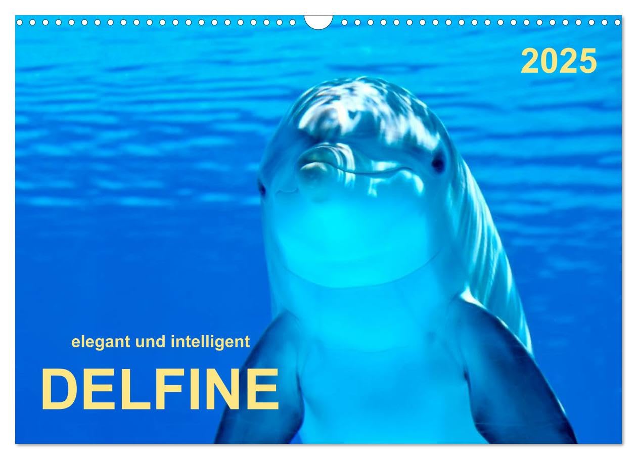Delfine - elegant und intelligent (Wandkalender 2025 DIN A3 quer), CALVENDO Monatskalender: Delphine - kühn, schön und schnell gleiten sie pfeilschnell durch das Wasser. (CALVENDO Tiere) Living & Furnishing