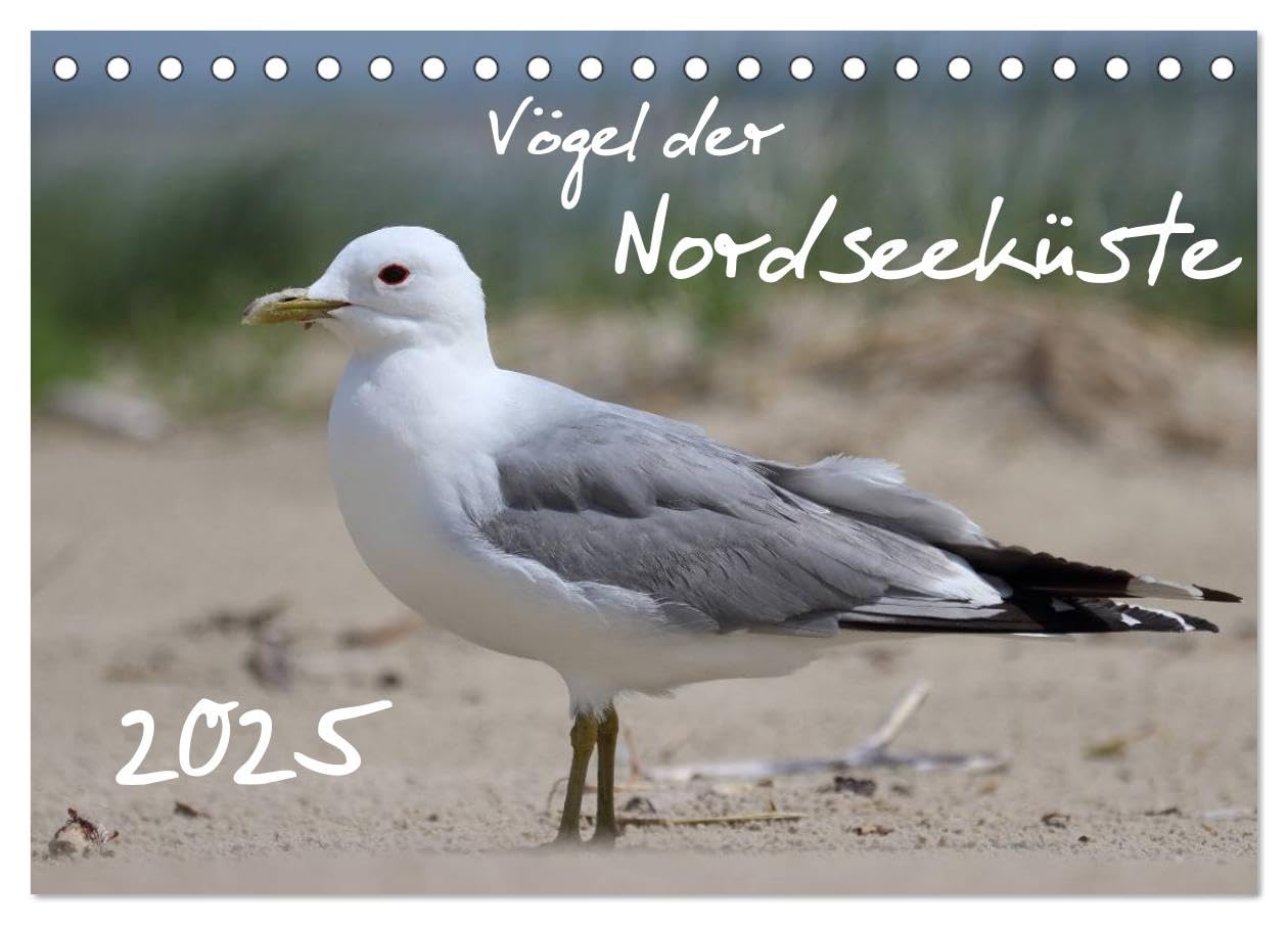 Vögel der Nordseeküste (Tischkalender 2025 DIN A5 quer), CALVENDO Monatskalender: Faszinierende Nahaufnahmen heimischer Küstenvögel (CALVENDO Tiere) Natural Sciences