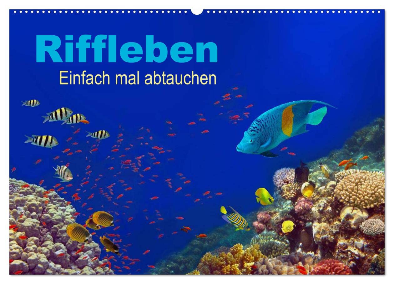 Riffleben - Einfach mal abtauchen (Wandkalender 2025 DIN A2 quer), CALVENDO Monatskalender: Eintauchen in die bunte Unterwasserwelt (CALVENDO Natur) Leisure, Home & Garden