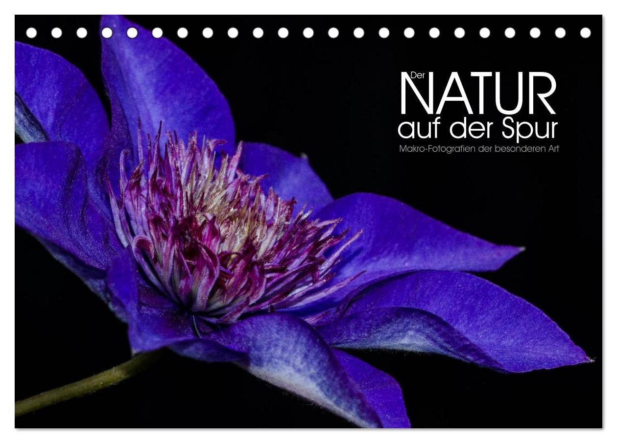 Der Natur auf der Spur - Makro-Fotografien der besonderen Art (Tischkalender 2025 DIN A5 quer), CALVENDO Monatskalender Photography