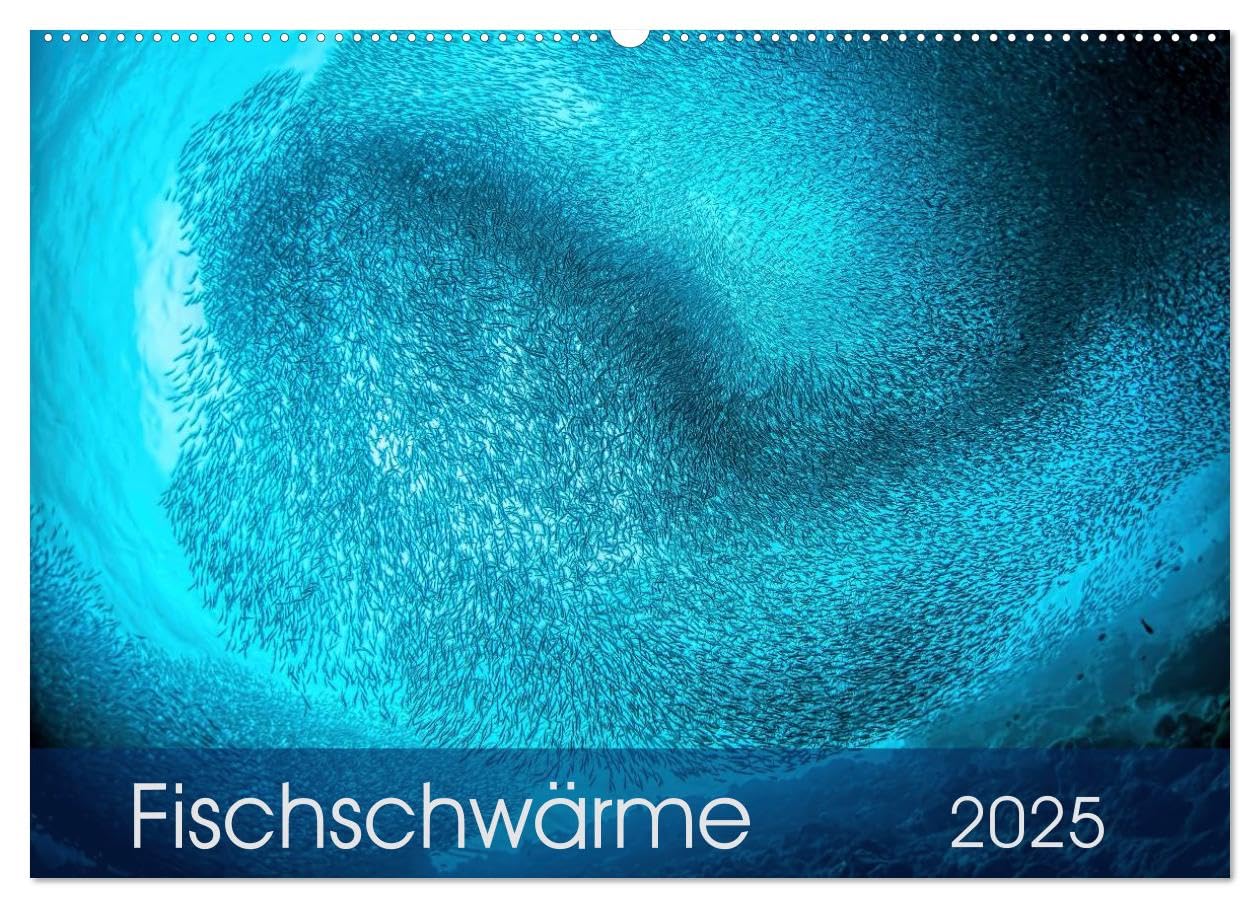 Fischschwärme (Wandkalender 2025 DIN A2 quer), CALVENDO Monatskalender: Gewaltige Fischschwärme aus dem Pazifischen Ozean bieten ein fantastisches Naturschauspiel (CALVENDO Natur) Natural Sciences