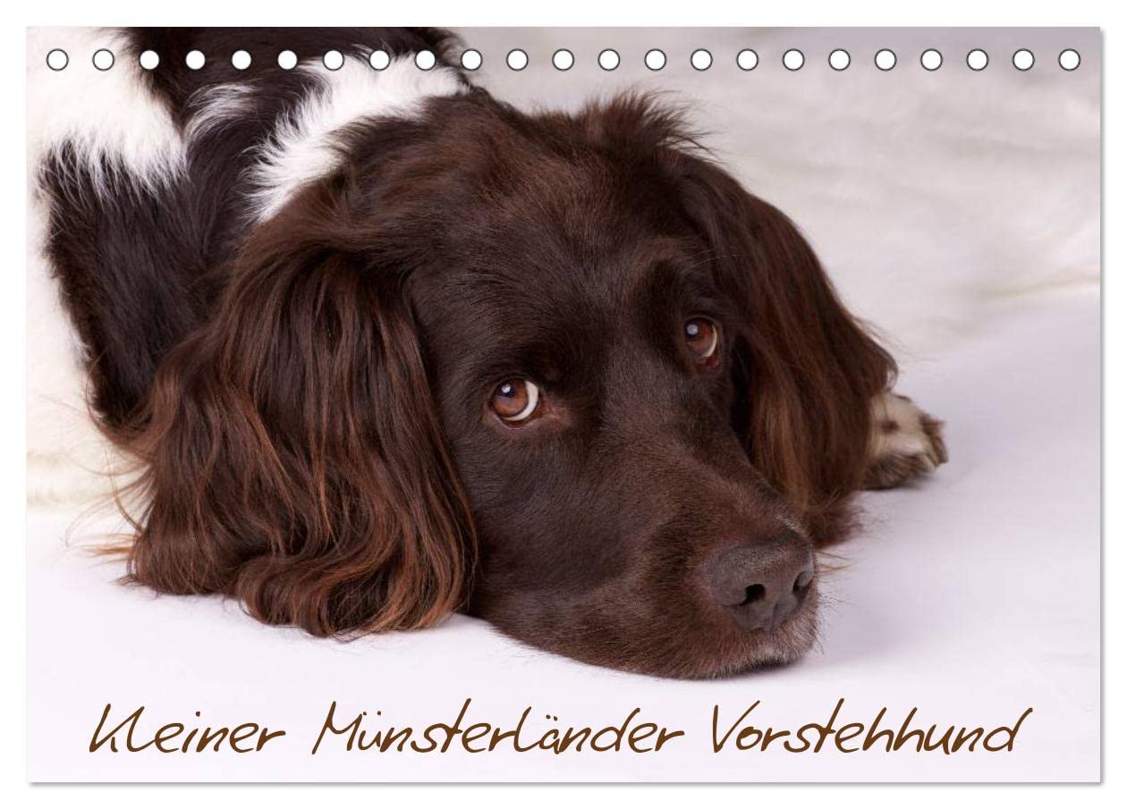 Kleiner Münsterländer Vorstehhund (Tischkalender 2025 DIN A5 quer), CALVENDO Monatskalender: Kleiner Münsterländer Vorstehhund - Ein Leben neben der Jagd, Monatskalender, 14 Seiten (CALVENDO Tiere) Medicine