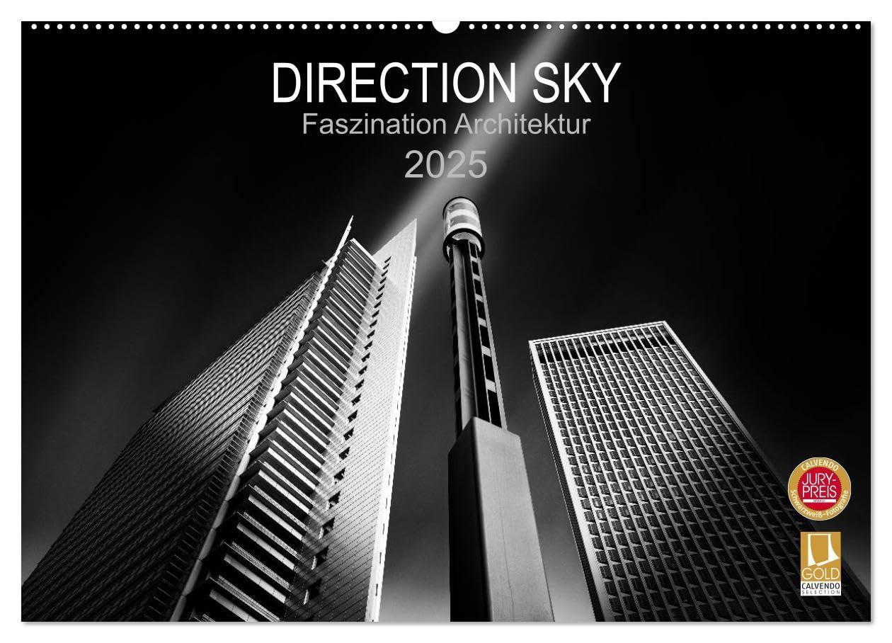 Direction Sky - Faszination Architektur 2025 (Wandkalender 2025 DIN A2 quer), CALVENDO Monatskalender: Moderne Architektur in Schwarz-Weiß Fine-Art. (CALVENDO Orte) Film, Art & Culture