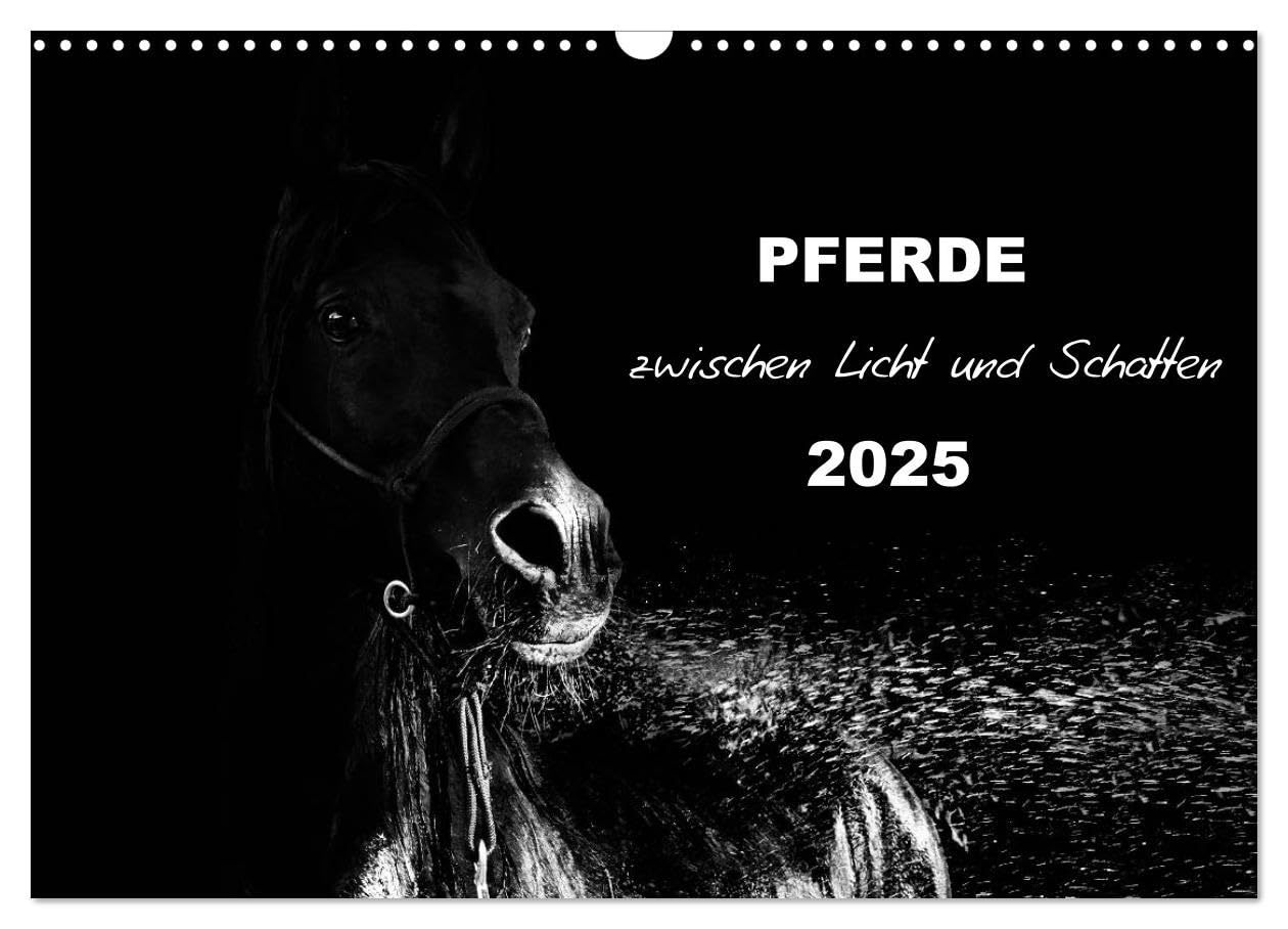 Pferde zwischen Licht und Schatten (Wandkalender 2025 DIN A3 quer), CALVENDO Monatskalender: Pferde vor schwarzem Hintergrund eindrucksvoll mit Licht in schwarzweiß dargestellt (CALVENDO Tiere) Natural Sciences