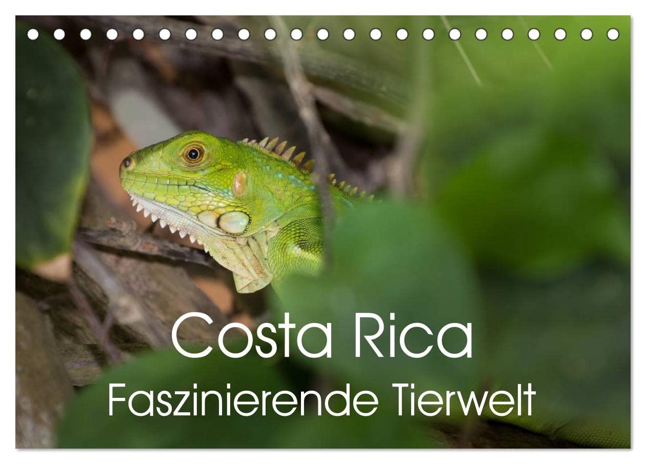 Costa Rica. Faszinierende Tierwelt (Tischkalender 2025 DIN A5 quer), CALVENDO Monatskalender: Eindrucksvolle Aufnahmen von der einzigartigen Tierwelt Costa Ricas (CALVENDO Natur) Natural Sciences