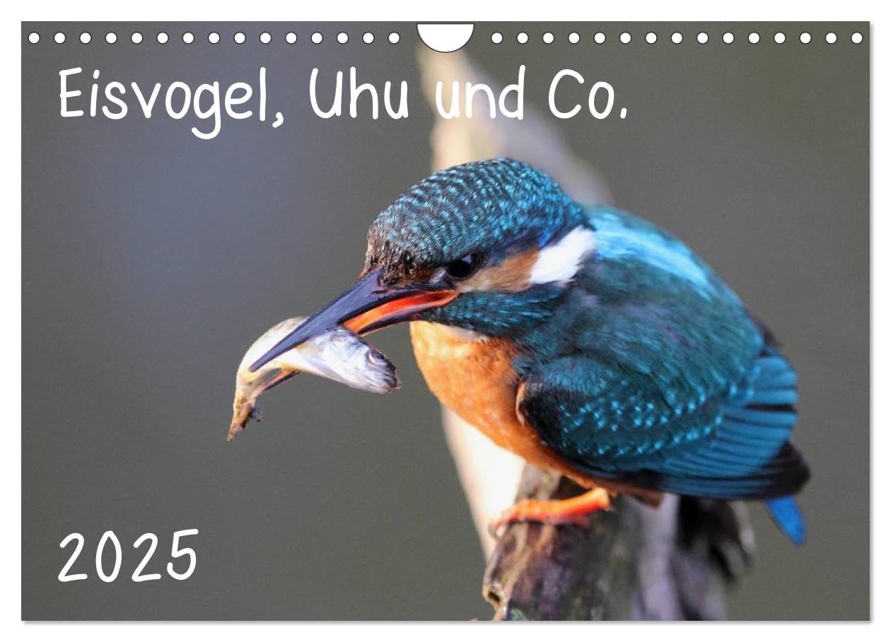 Eisvogel, Uhu und Co. (Wandkalender 2025 DIN A4 quer), CALVENDO Monatskalender: Faszinierende Nahaufnahmen heimischer Vogelarten (CALVENDO Tiere) Natural Sciences