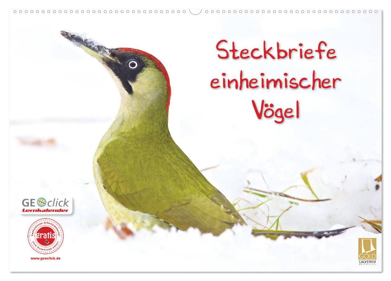 Steckbriefe einheimischer Vögel (Wandkalender 2025 DIN A2 quer), CALVENDO Monatskalender: Einheimische Vögel mit kindgerechten Informationen zur jeweiligen Art (CALVENDO Tiere) Natural Sciences