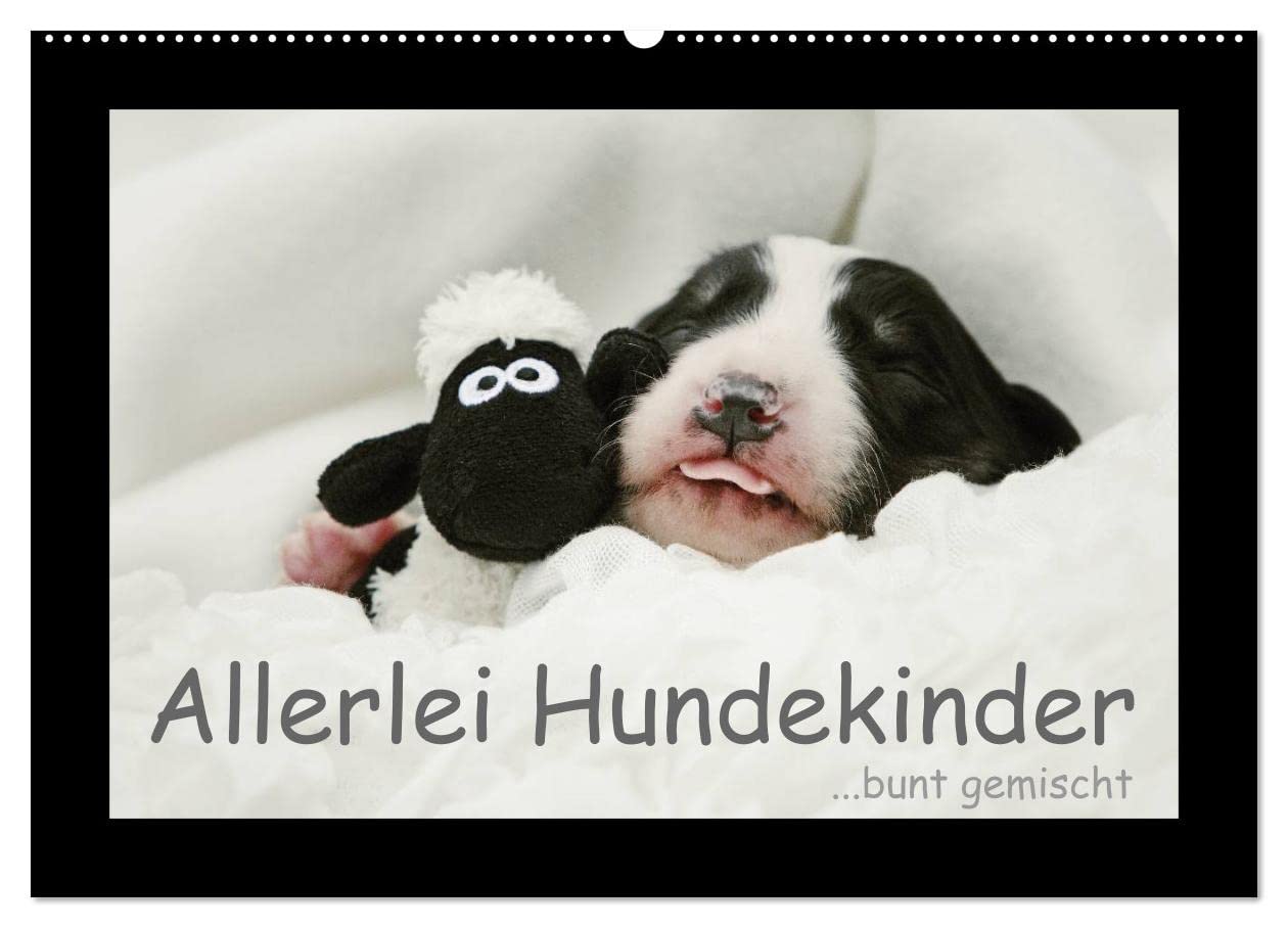 Allerlei Hundekinder (Wandkalender 2025 DIN A2 quer), CALVENDO Monatskalender: ...bunt gemischt (CALVENDO Tiere) Living & Furnishing