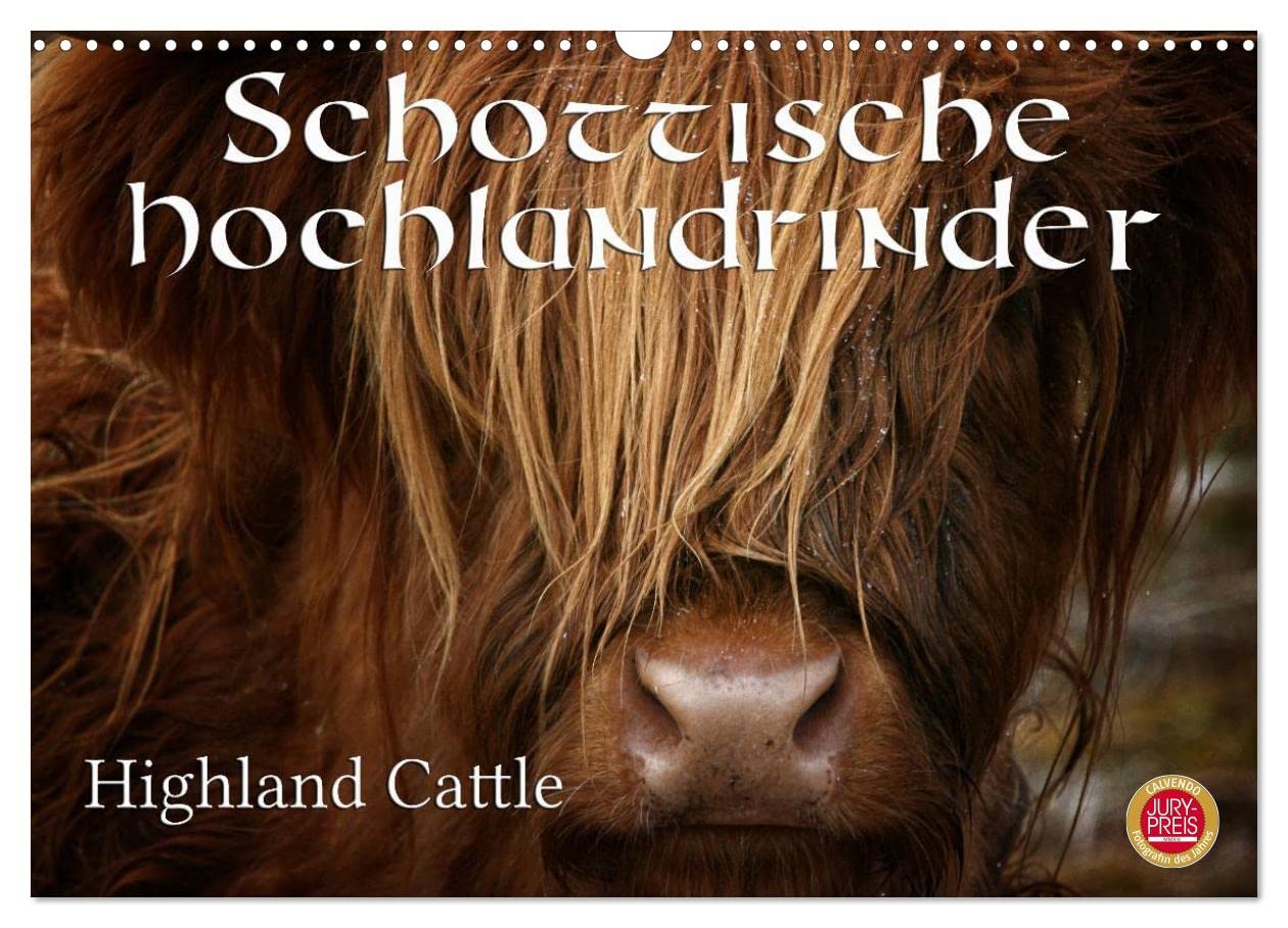 Schottische Hochlandrinder - Highland Cattle (Wandkalender 2025 DIN A3 quer), CALVENDO Monatskalender: Erleben Sie schottische Hochandrinder, die ... bekannt und geschätzt ist (CALVENDO Tiere) Natural Sciences