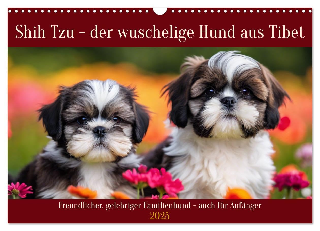 Shih Tzu - der wuschelige Hund aus Tibet (Wandkalender 2025 DIN A3 quer), CALVENDO Monatskalender: Freundlicher, gelehriger Familienhund - auch für Anfänger (CALVENDO Orte) Natural Sciences
