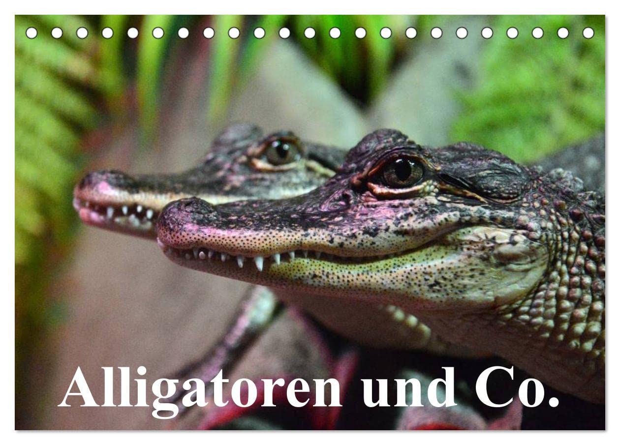 Alligatoren und Co. (Tischkalender 2025 DIN A5 quer), CALVENDO Monatskalender: Die intelligentesten und größten Ur-Echsen unserer Erde (CALVENDO Tiere) Living & Furnishing