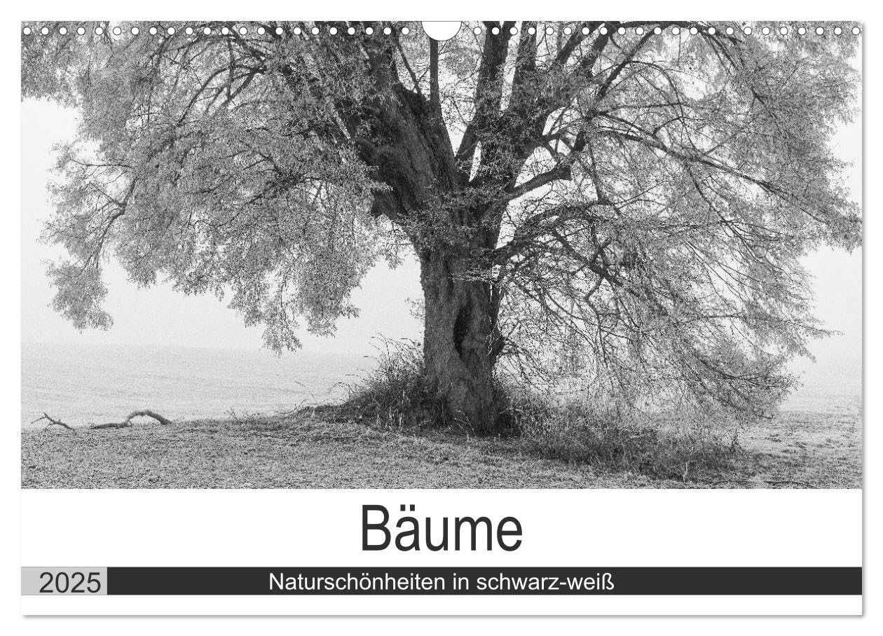 Bäume - Naturschönheiten in schwarz-weiß (Wandkalender 2025 DIN A3 quer), CALVENDO Monatskalender: Ausdrucksstarke Bäume als schwarz-weiß Fotografie (CALVENDO Natur) Photography