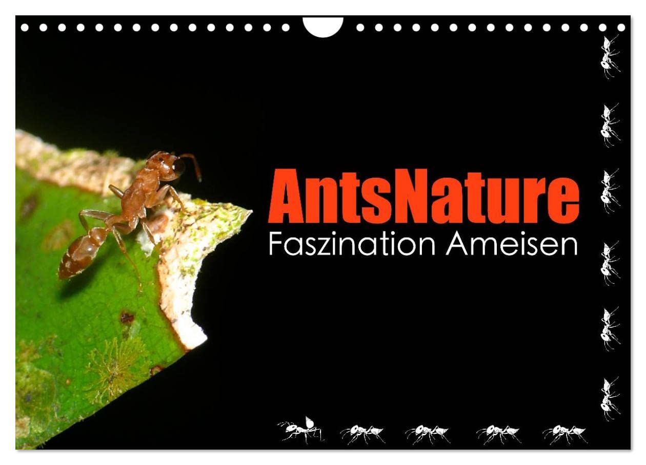 AntsNature - Faszination Ameisen (Wandkalender 2025 DIN A4 quer), CALVENDO Monatskalender: Einblicke der besonderen Art in die Welt der Ameisen (CALVENDO Tiere) Natural Sciences