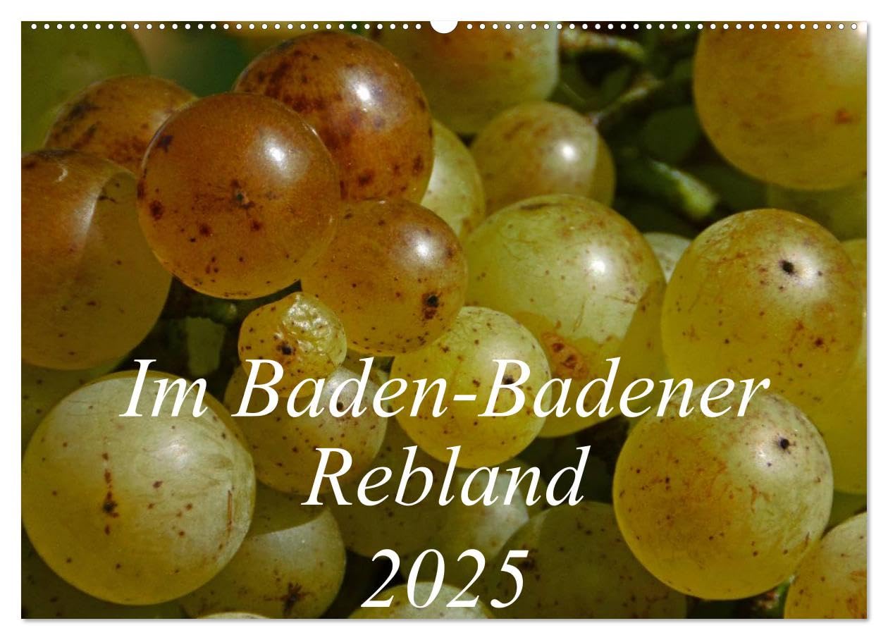 Im Baden-Badener Rebland 2025 (Wandkalender 2025 DIN A2 quer), CALVENDO Monatskalender: Ein Spaziergang durch das Baden-Badener Rebland (CALVENDO Natur) Leisure, Home & Garden