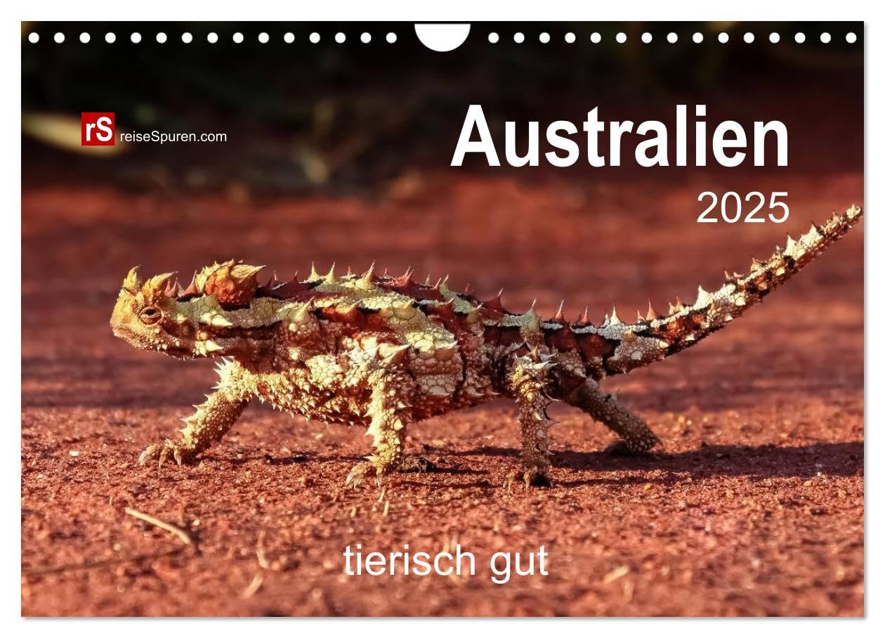 Australien tierisch gut 2025 (Wandkalender 2025 DIN A4 quer), CALVENDO Monatskalender: Entdecken Sie unsere Favoriten in Down Under - bekannte und unbekanntere! (CALVENDO Tiere) Leisure, Home & Garden