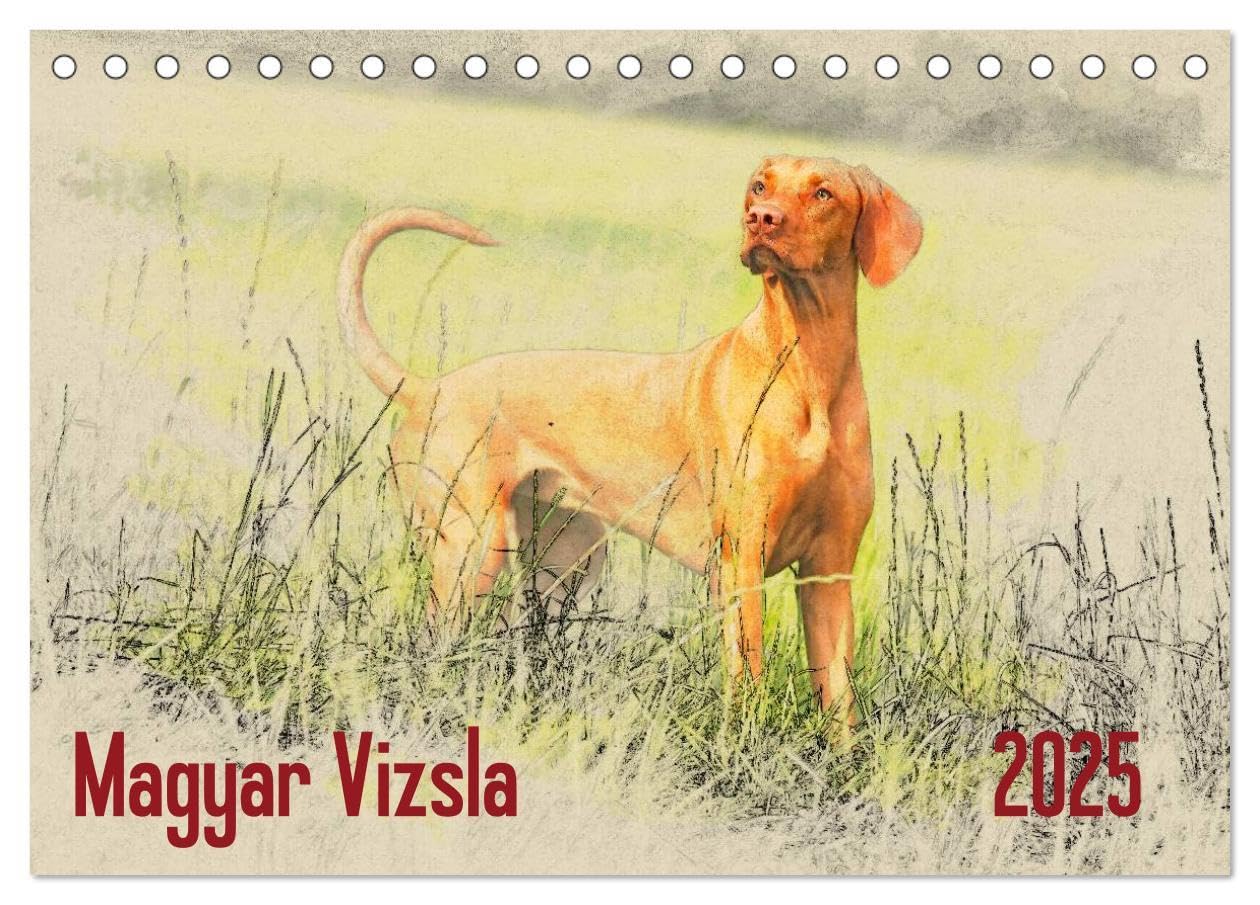 Magyar Vizsla 2025 (Tischkalender 2025 DIN A5 quer), CALVENDO Monatskalender: Ungarische Vorstehhunde (Magyar Vizsla) im kunstvollen Aquarell-Stil. ... einem kleinen Kunstwerk (CALVENDO Tiere) Natural Sciences