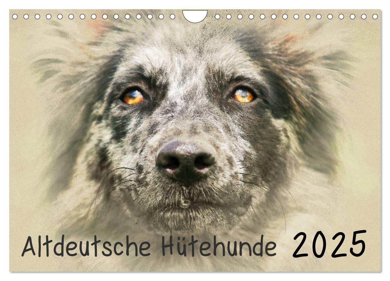 Altdeutsche Hütehunde 2025 (Wandkalender 2025 DIN A4 quer), CALVENDO Monatskalender: Altdeutsche Hütehunde im kunstvollen Aquarell-Stil. Jedes ... einem kleinen Kunstwerk (CALVENDO Tiere) Natural Sciences