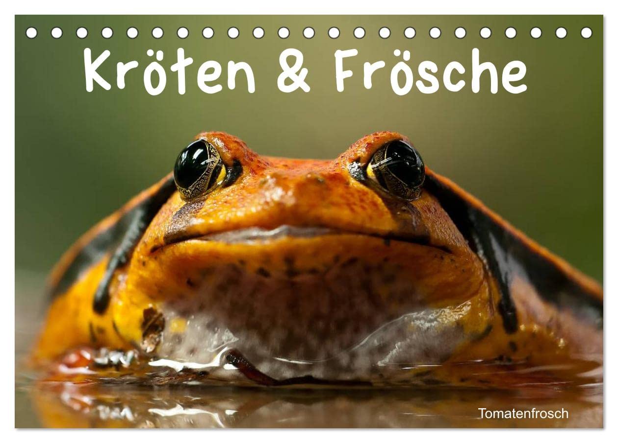 Kröten & Frösche (Tischkalender 2025 DIN A5 quer), CALVENDO Monatskalender: Die bunte Welt der Froschlurche (CALVENDO Tiere) Living & Furnishing