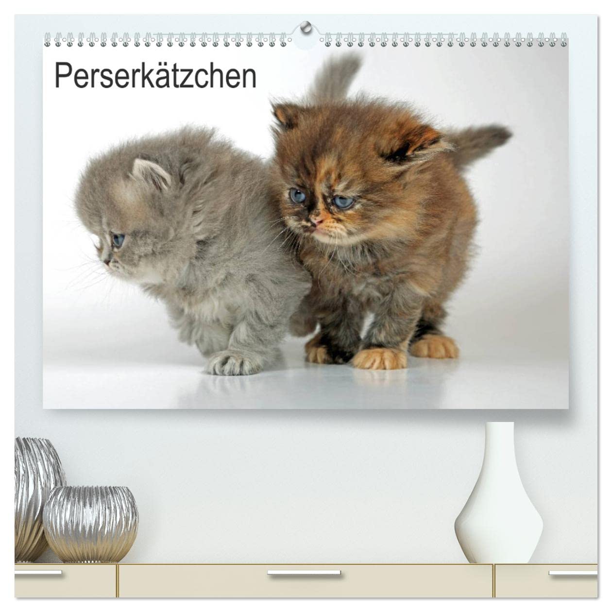 Perserkätzchen / CH-Version (hochwertiger Premium Wandkalender 2025 DIN A2 quer), Kunstdruck in Hochglanz: Neun Katzenbabys im Fotostudio (CALVENDO Tiere) Pets