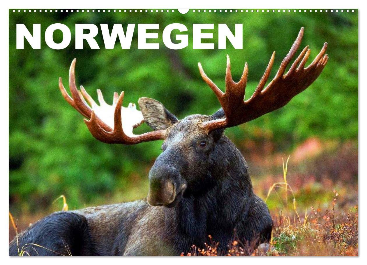 Norwegen (Wandkalender 2025 DIN A2 quer), CALVENDO Monatskalender: Das Land der unberührten Natur und Fjorde (CALVENDO Natur) Living & Furnishing