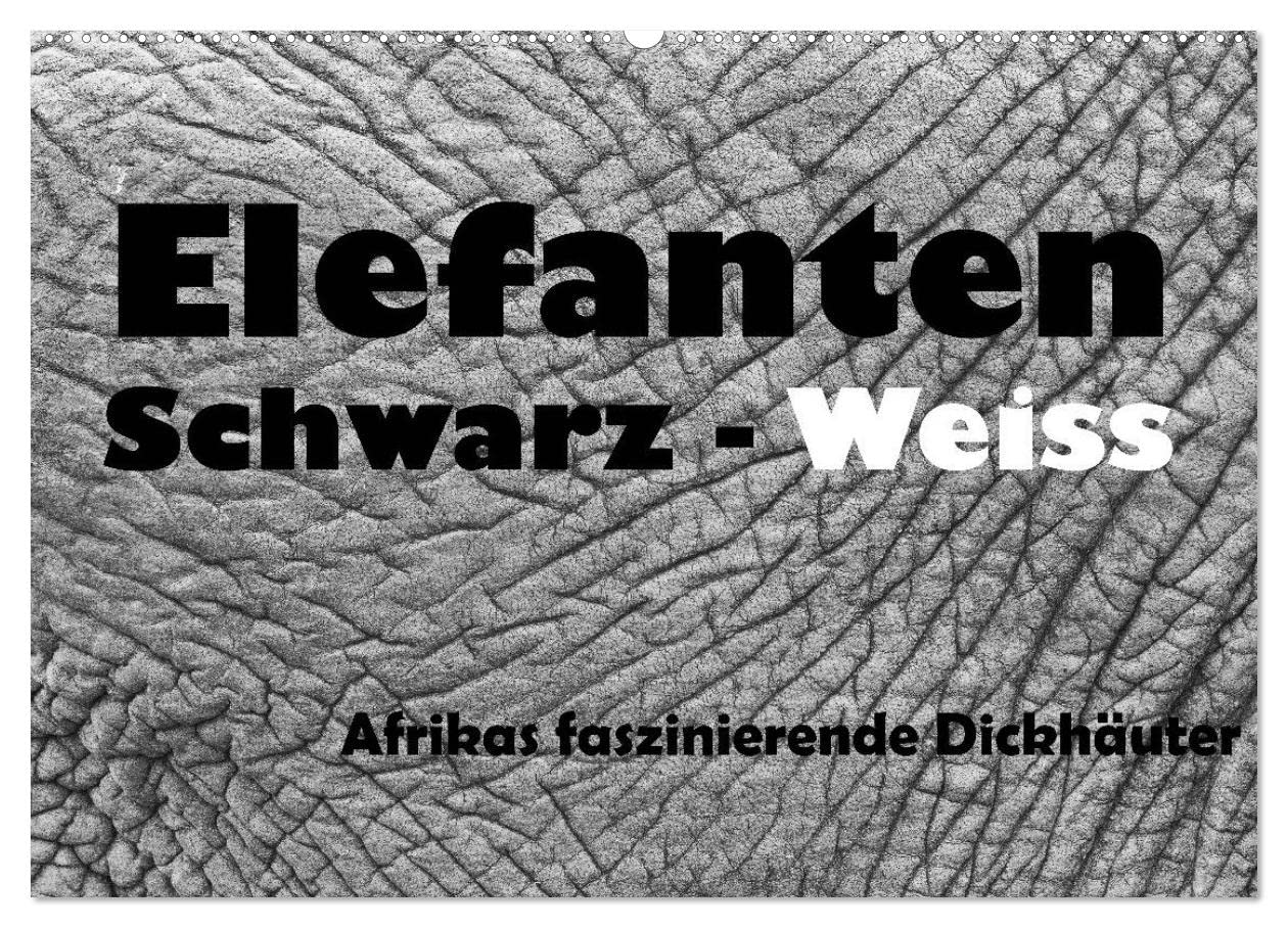 Elefanten Schwarz - Weiss (Wandkalender 2025 DIN A2 quer), CALVENDO Monatskalender: Afrikas faszinierende Dickhäuter (CALVENDO Tiere) Natural Sciences