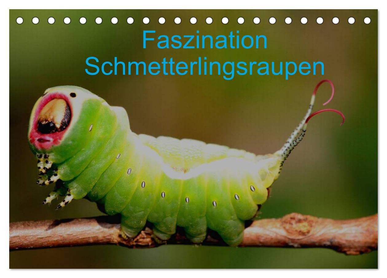 Faszination Schmetterlingsraupen (Tischkalender 2025 DIN A5 quer), CALVENDO Monatskalender: In diesem Kalender werden seltene Raupen von Tag- und Nachtfaltern vorgestellt (CALVENDO Tiere) Natural Sciences