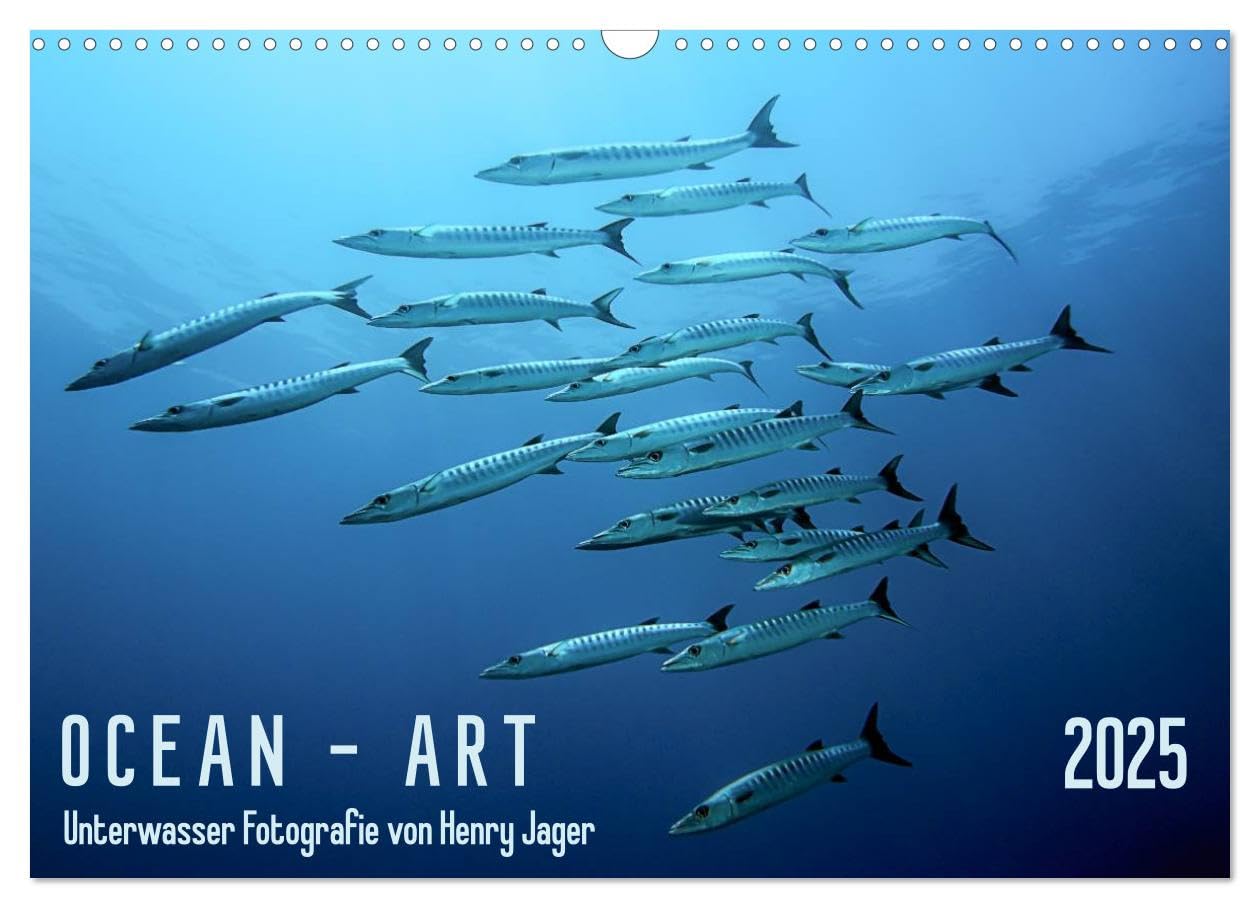 Ocean-Art / CH-Version (Wandkalender 2025 DIN A3 quer), CALVENDO Monatskalender: Einzigartige Unterwasser Fotografien aus den Meeren dieser Welt (CALVENDO Natur) Film, Art & Culture