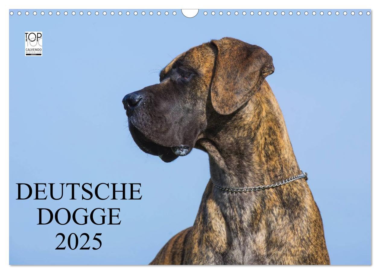 Deutsche Dogge 2025 (Wandkalender 2025 DIN A3 quer), CALVENDO Monatskalender: Der Apoll unter den Hunden auf 13 wunderschönen Fotos in Porträt und Action (CALVENDO Tiere) Natural Sciences