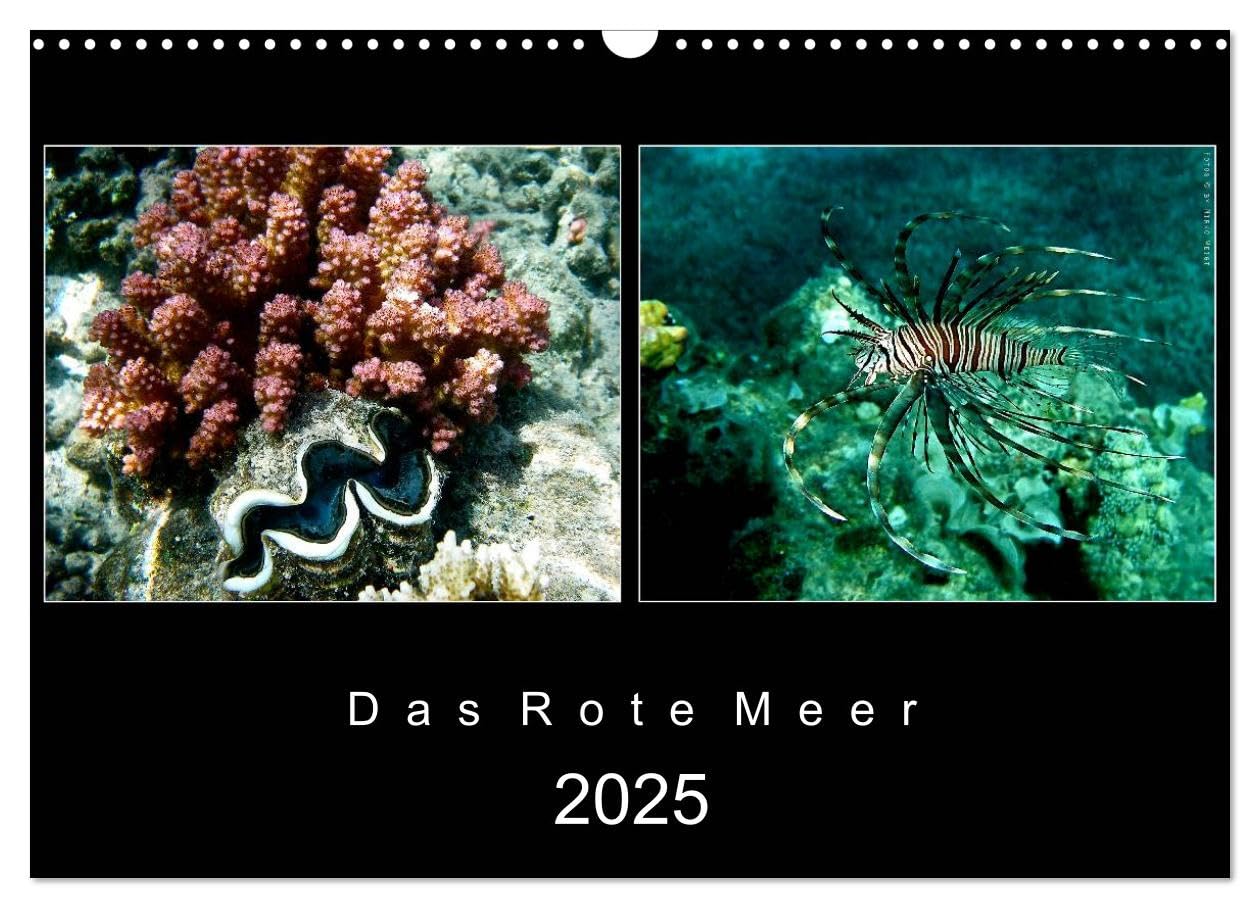 Das Rote Meer – 2025 (Wandkalender 2025 DIN A3 quer), CALVENDO Monatskalender: Bunte Artenvielfalt und Unterwasserlandschaften an den Riffen im Roten Meer. (CALVENDO Tiere) Film, Art & Culture