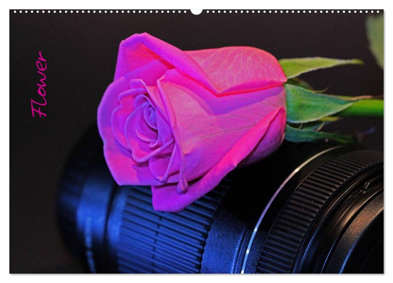Flower (Wandkalender 2025 DIN A2 quer), CALVENDO Monatskalender: Aus Liebe zur Fotografie (CALVENDO Natur) Social Sciences