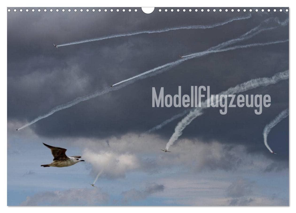 Modellflugzeuge Nr. 1 / 2025 (Wandkalender 2025 DIN A3 quer), CALVENDO Monatskalender (CALVENDO Hobbys) Leisure, Home & Garden