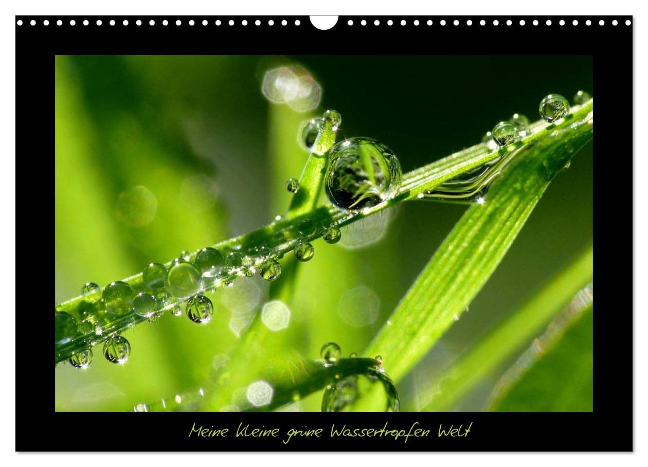 Meine kleine grüne Wassertropfen Welt (Wandkalender 2025 DIN A3 quer), CALVENDO Monatskalender: Faszination Tropfen (CALVENDO Natur) Leisure, Home & Garden