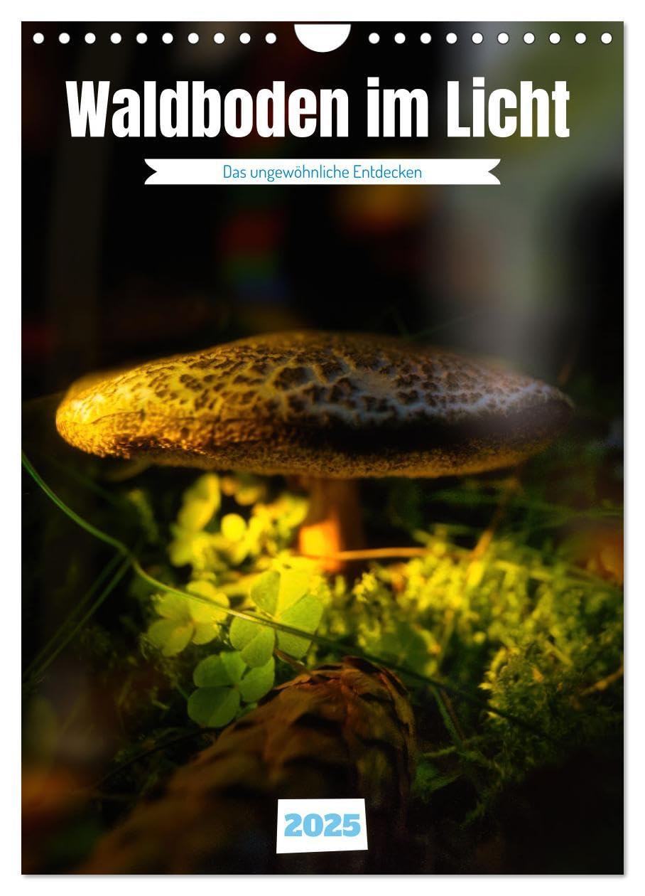 Waldboden im Licht (Wandkalender 2025 DIN A4 hoch), CALVENDO Monatskalender: Waldpilze und die Früchte des Waldes in besonderer Lichtstimmung Health, Nutrition & Fitness