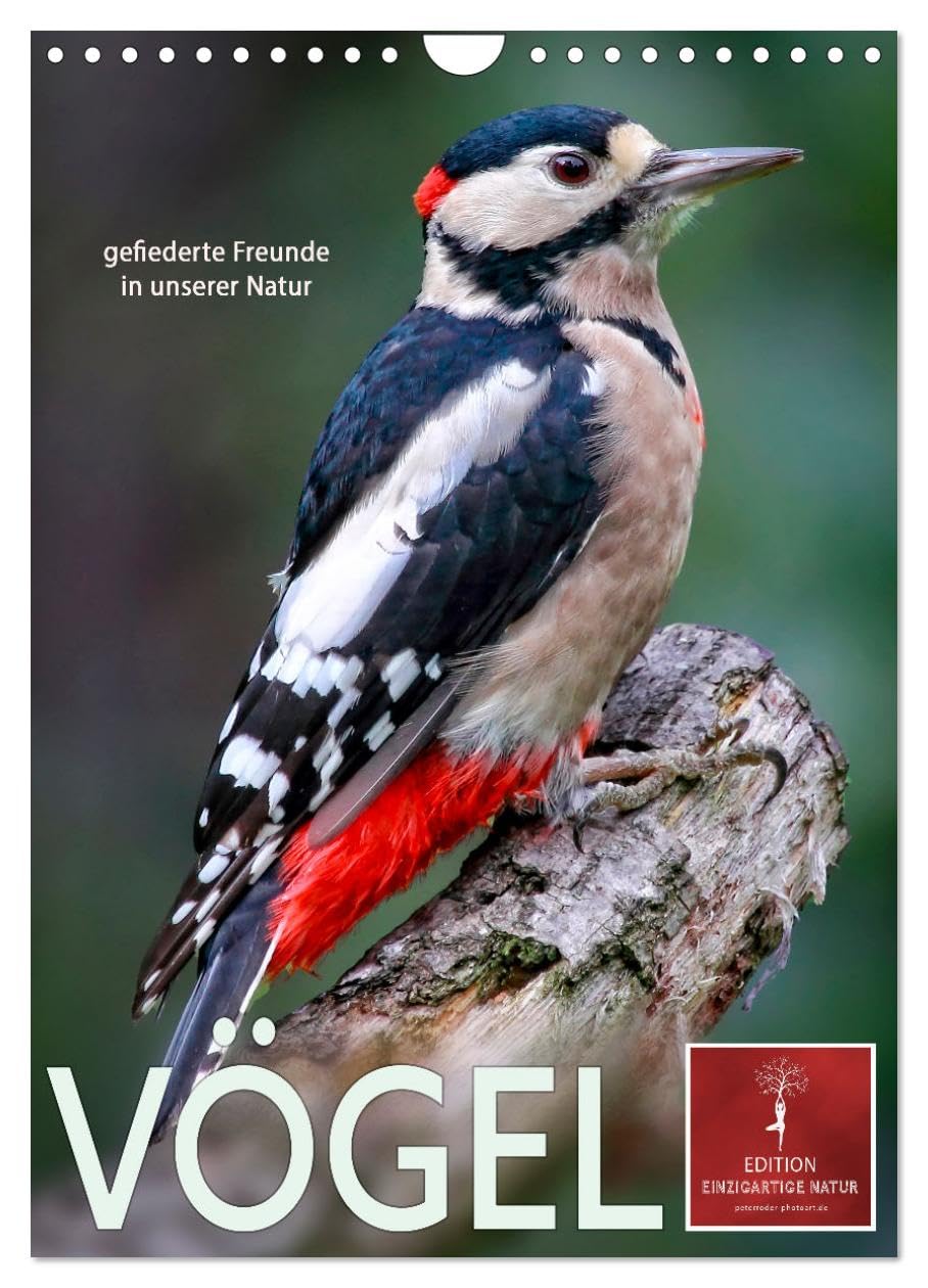Vögel - gefiederte Freunde in unserer Natur (Wandkalender 2025 DIN A4 hoch), CALVENDO Monatskalender: Amsel, Drossel, Fink und Star, wer kennt sie nicht. (CALVENDO Tiere) Living & Furnishing