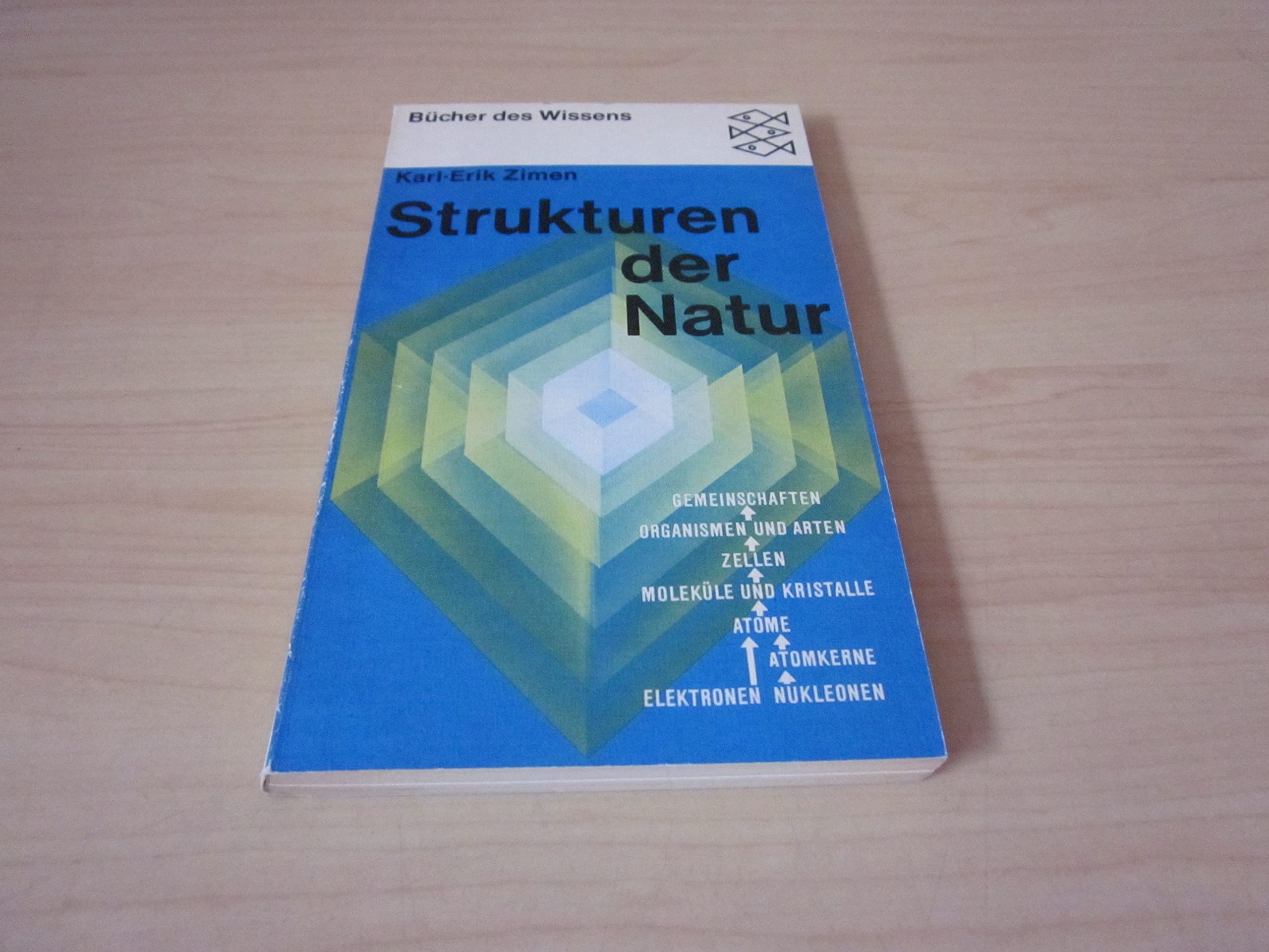 Strukturen der Natur. Eine Orientierung im naturwissenschaftlichen Bereich. Business & Technology