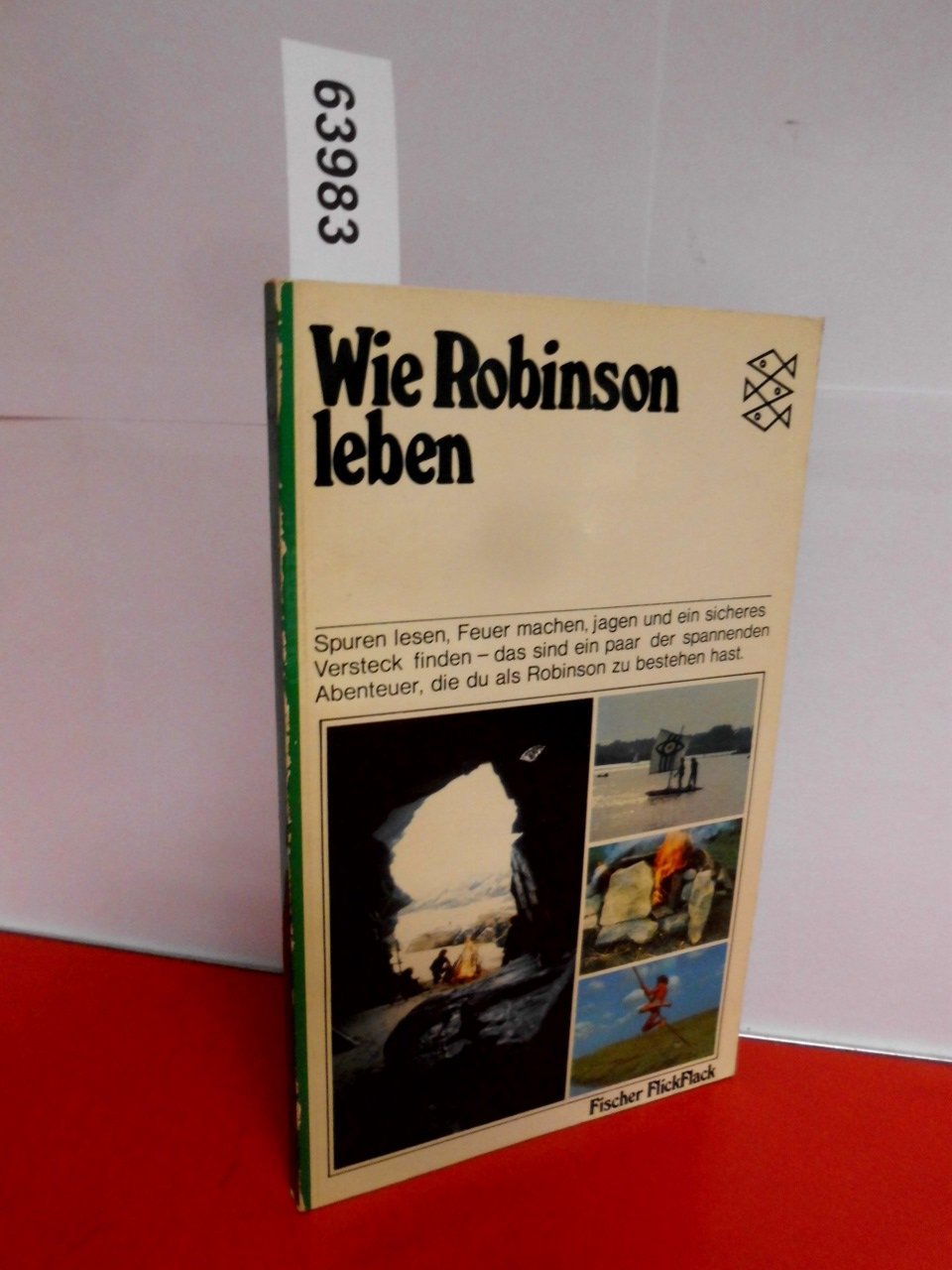 Wie Robinson leben. Books
