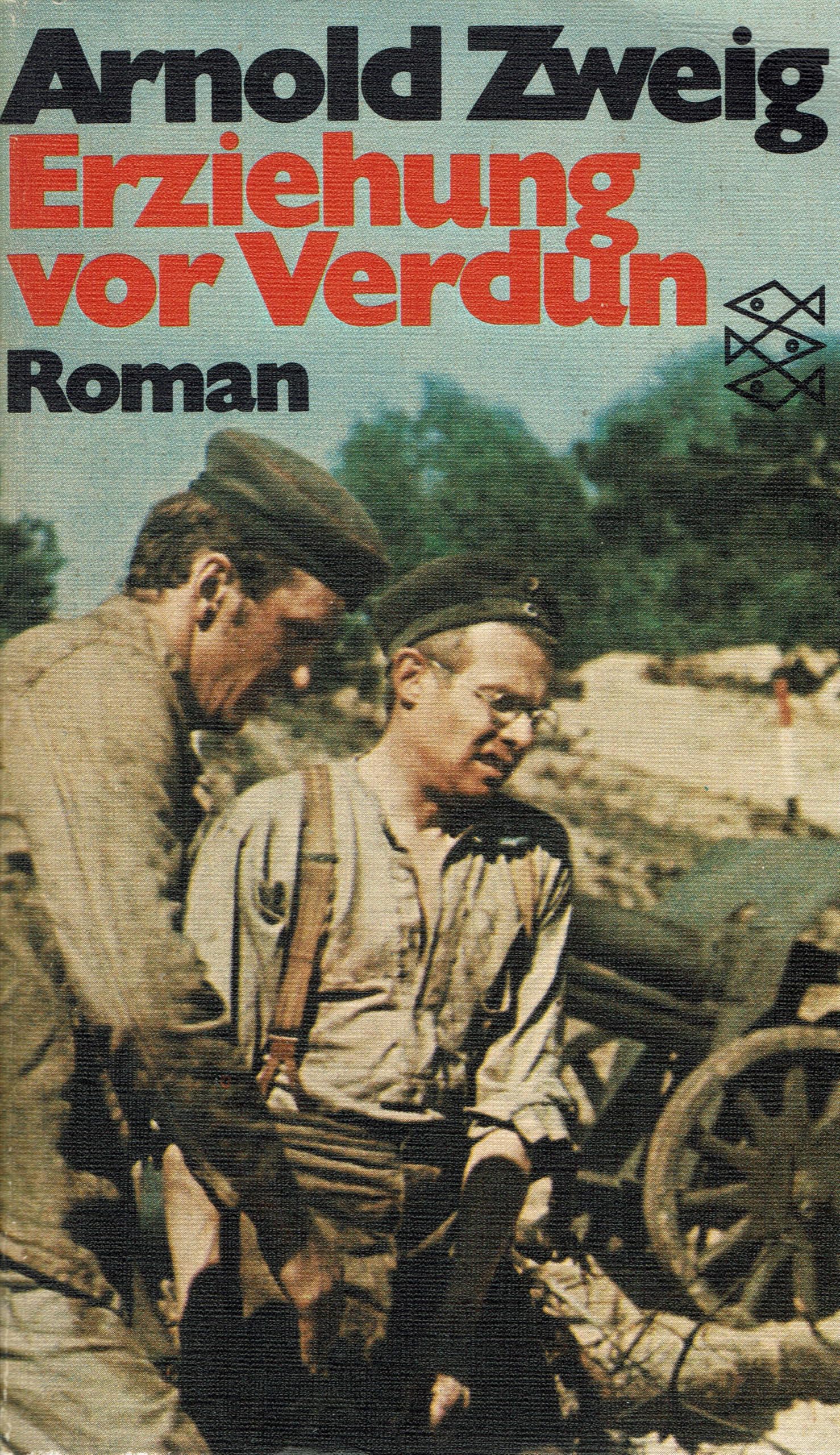 Erziehung vor Verdun : Roman. Books