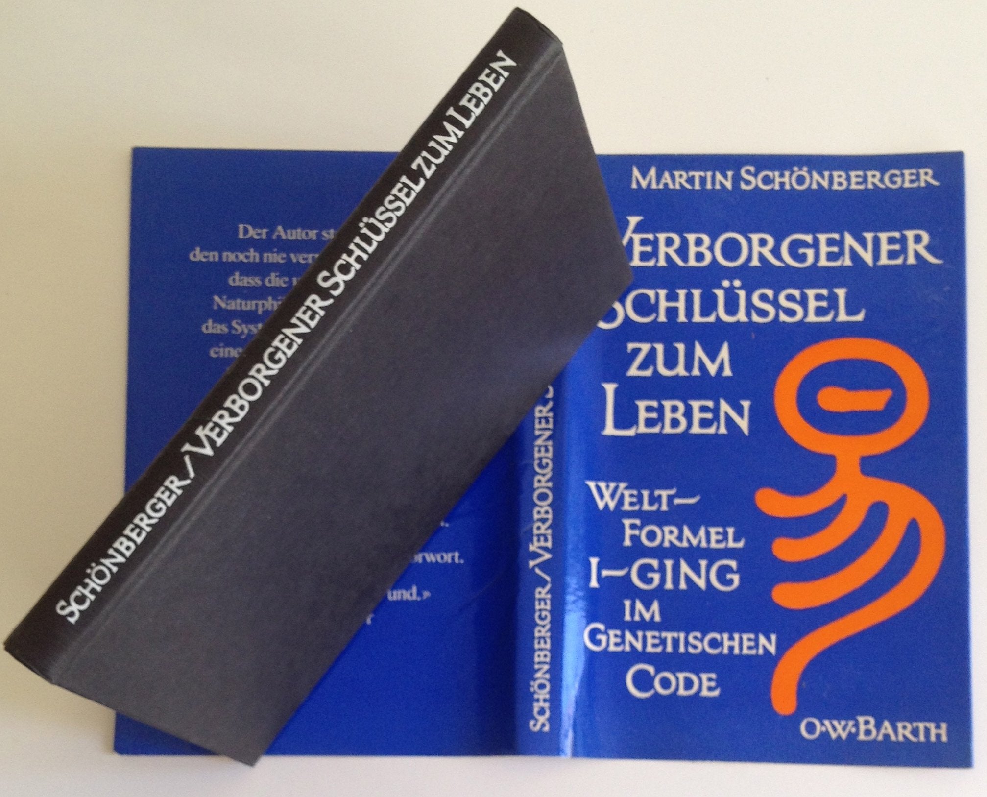 Verborgener Schlussel Zum Leben: Welt-Formel I-Ging Im Genet. Code Books