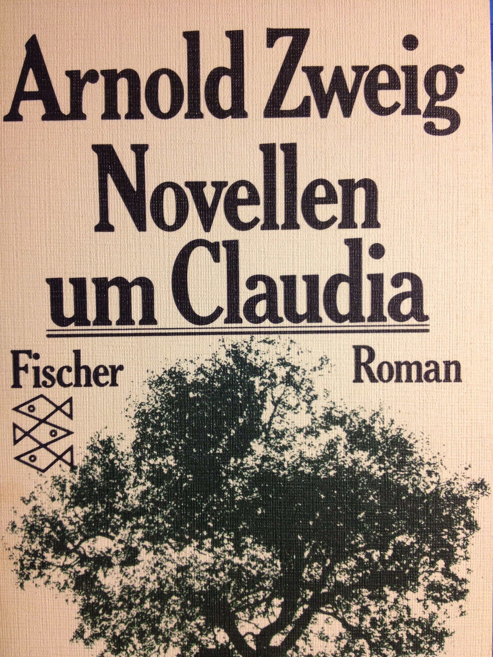 Novellen um Claudia. Roman. Hobbies & Crafts