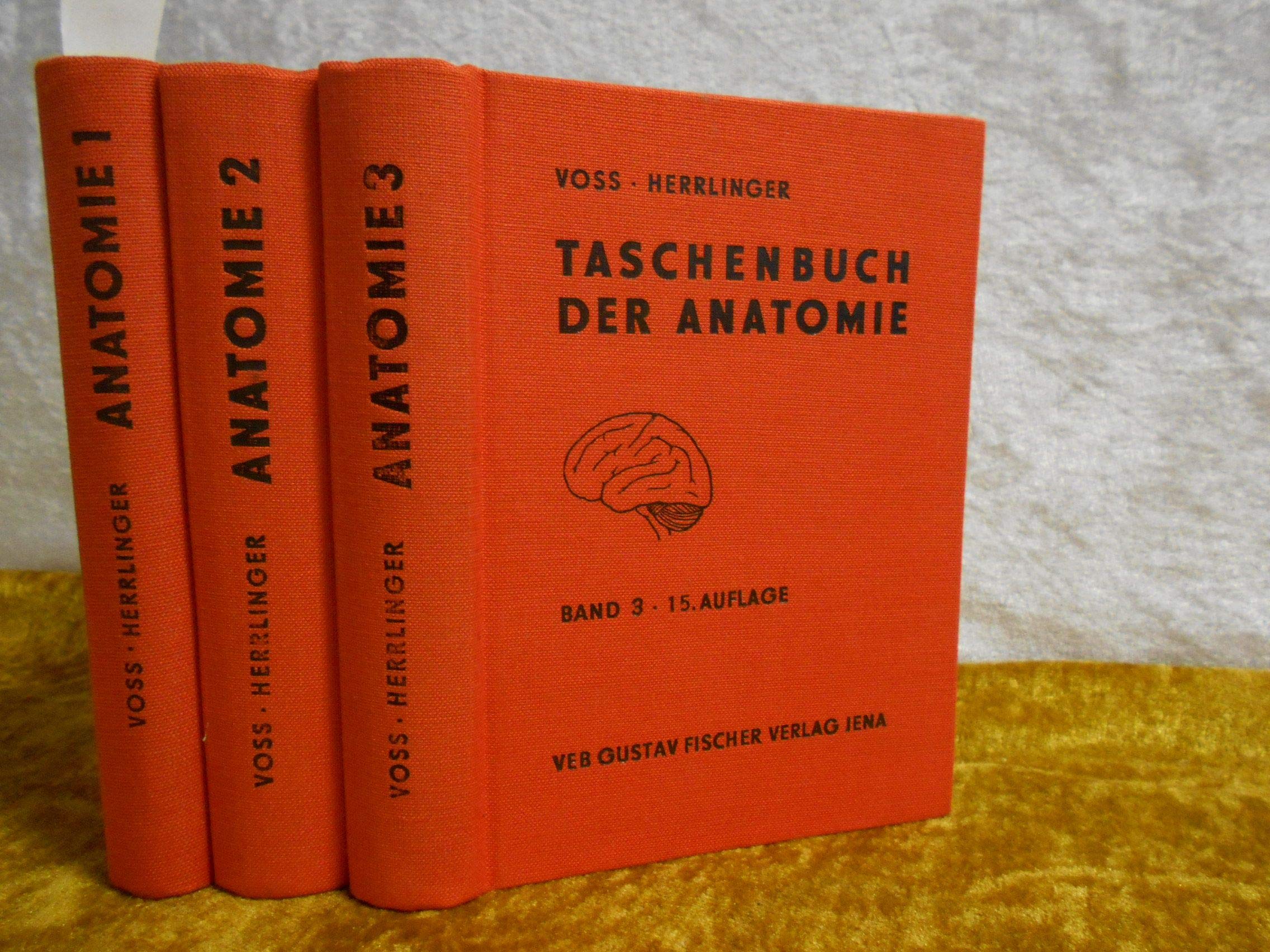 Taschenbuch der Anatomie Band 1 - Einführung in die Anatomie - Bewegungsapparat Medicine