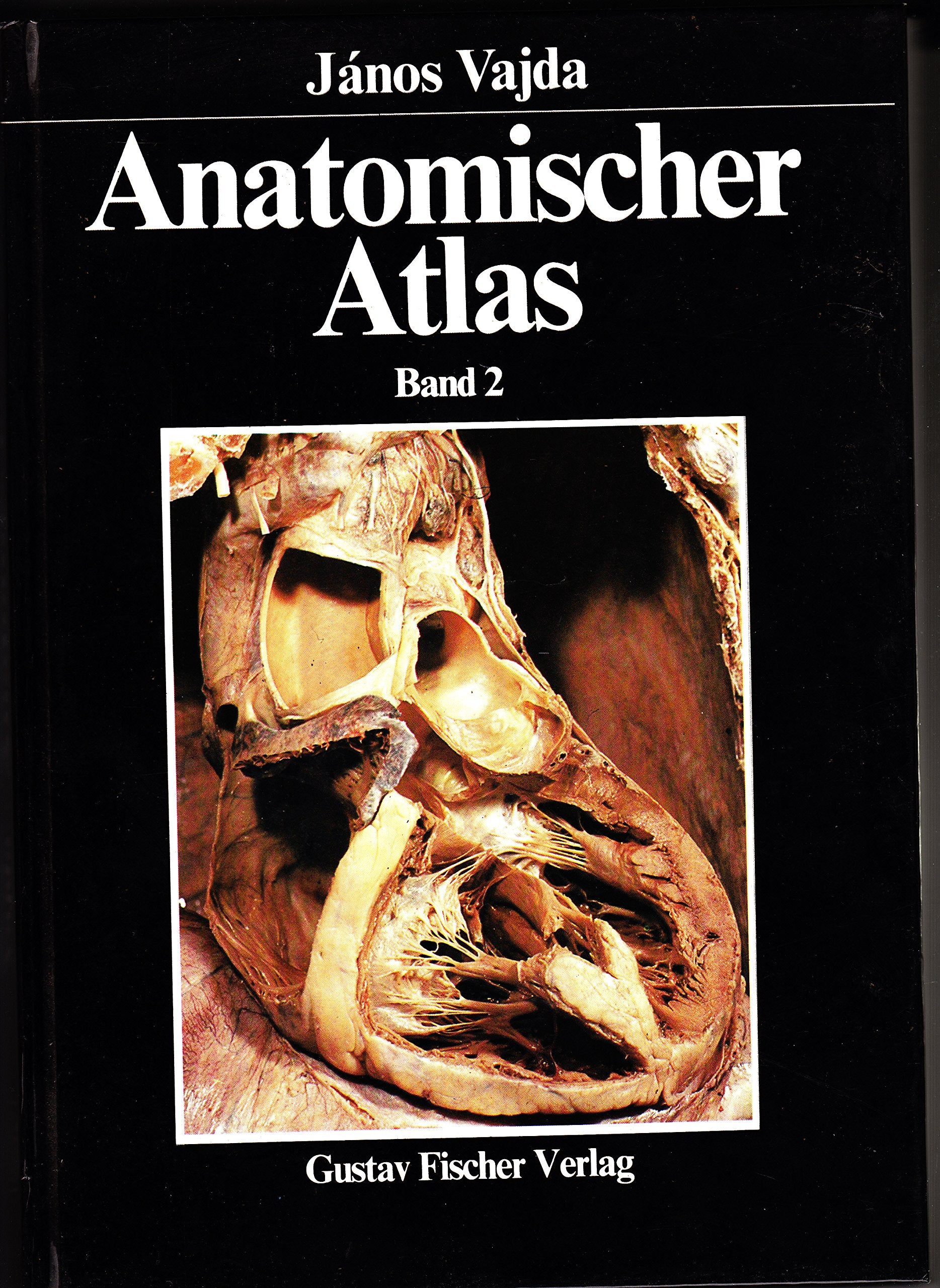 Anatomischer Atlas, in 2 Bdn., Bd.2, Rumpf, Brustkorb, Bauchraum, Becken Medicine