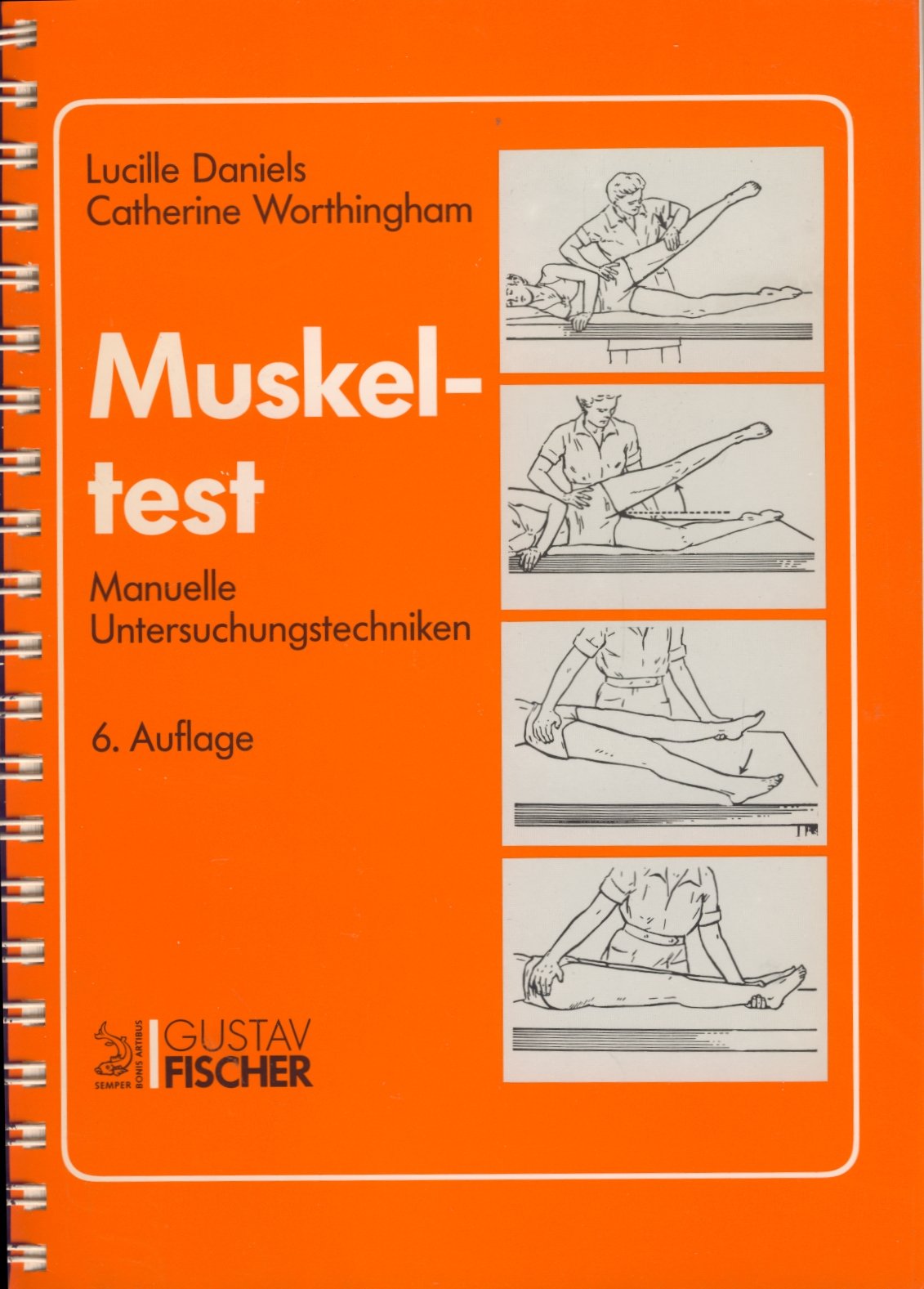 Product Image: Muskeltest. Manuelle Untersuchungstechniken