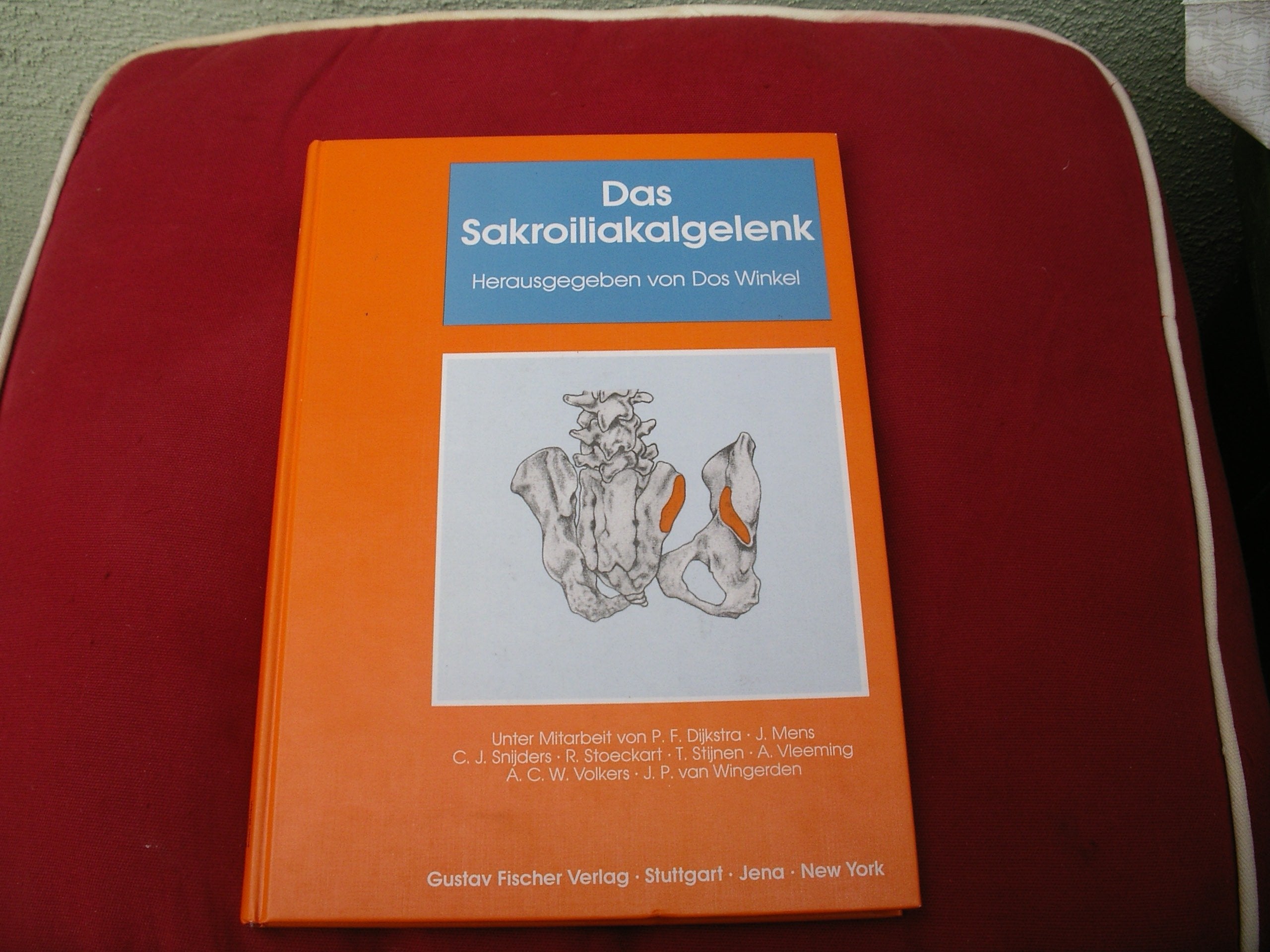 Das Sakroiliakalgelenk Medicine
