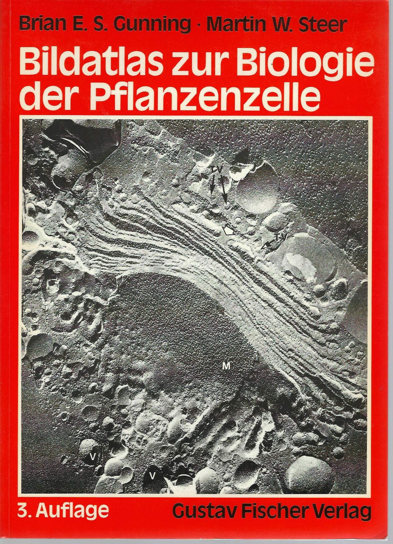 Bildatlas zur Biologie der Pflanzenzelle Leisure, Home & Garden