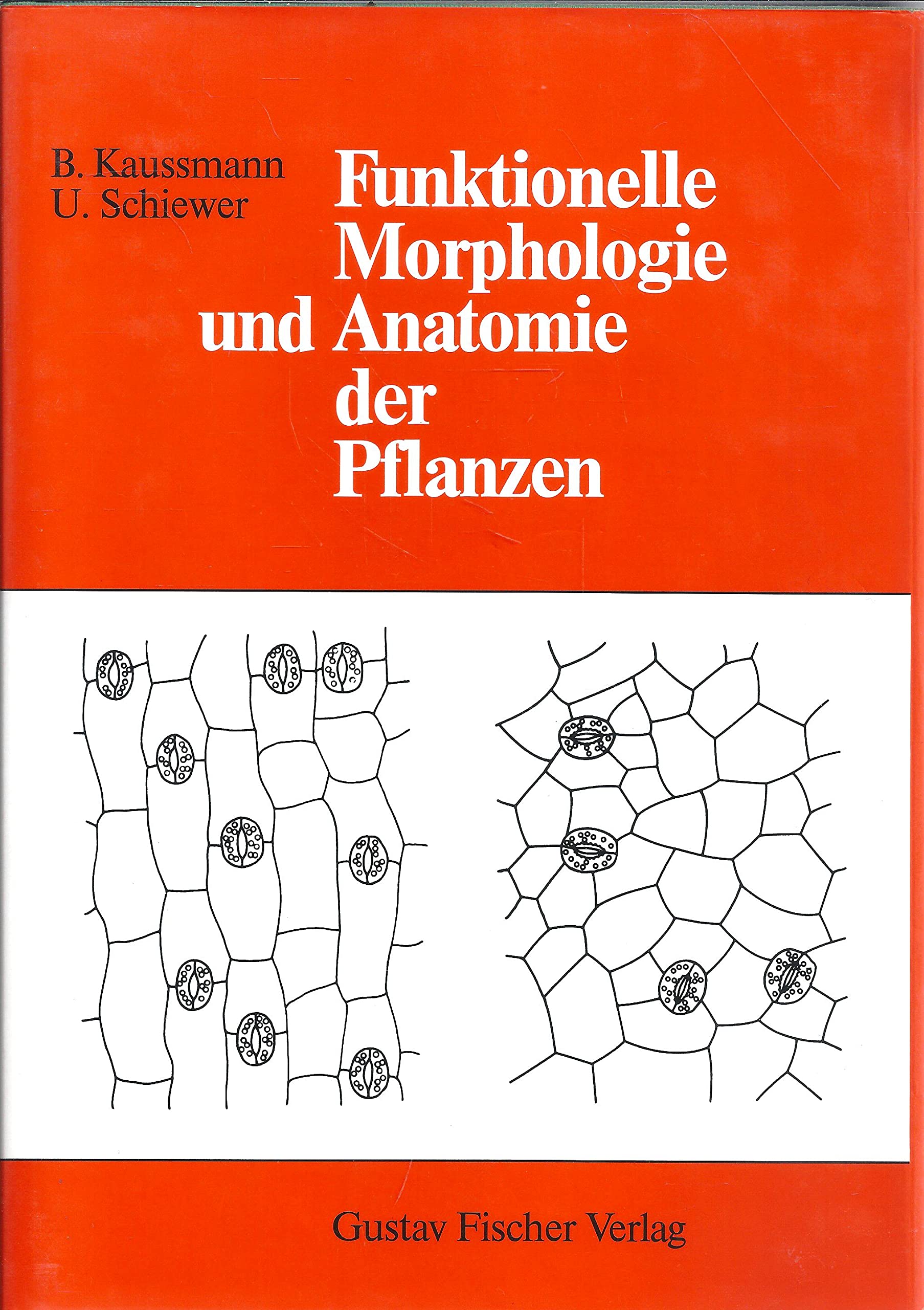 Funktionelle Morphologie und Anatomie der Pflanzen Medicine