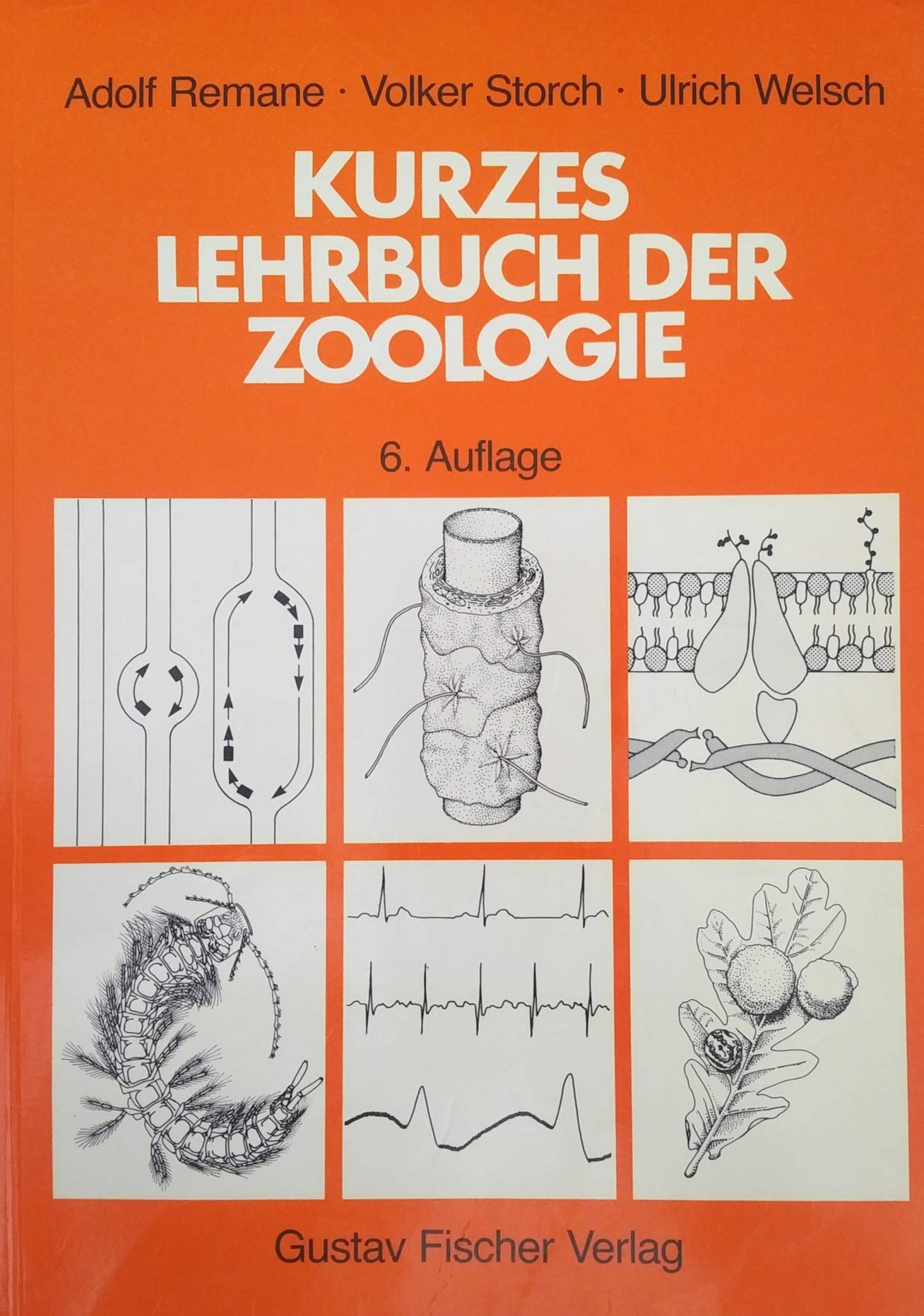 Kurzes Lehrbuch der Zoologie Natural Sciences